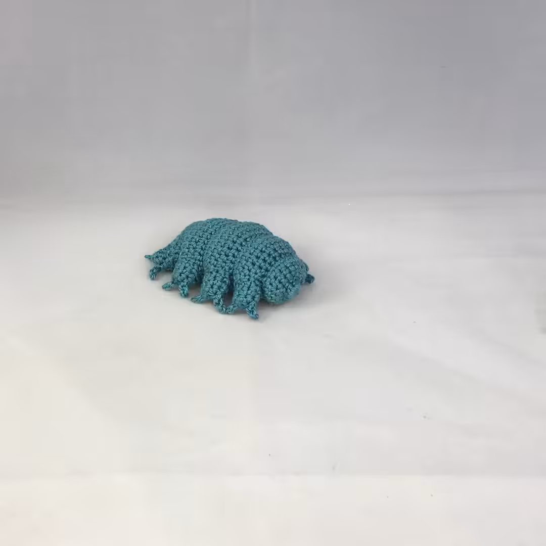 Tardigrade Photobomb Flop