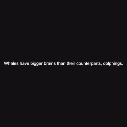 Whales have bigger b...