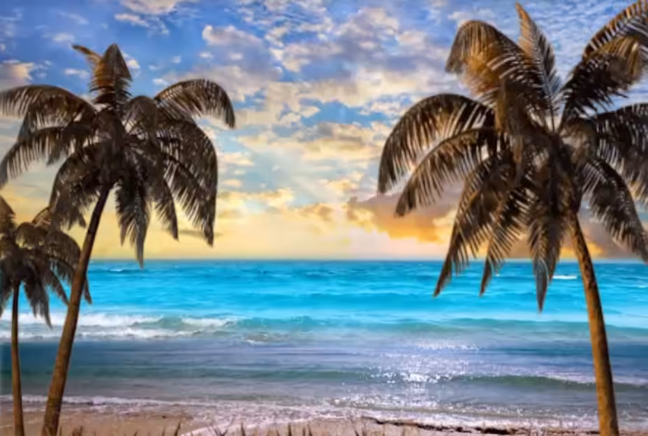 Paradise 