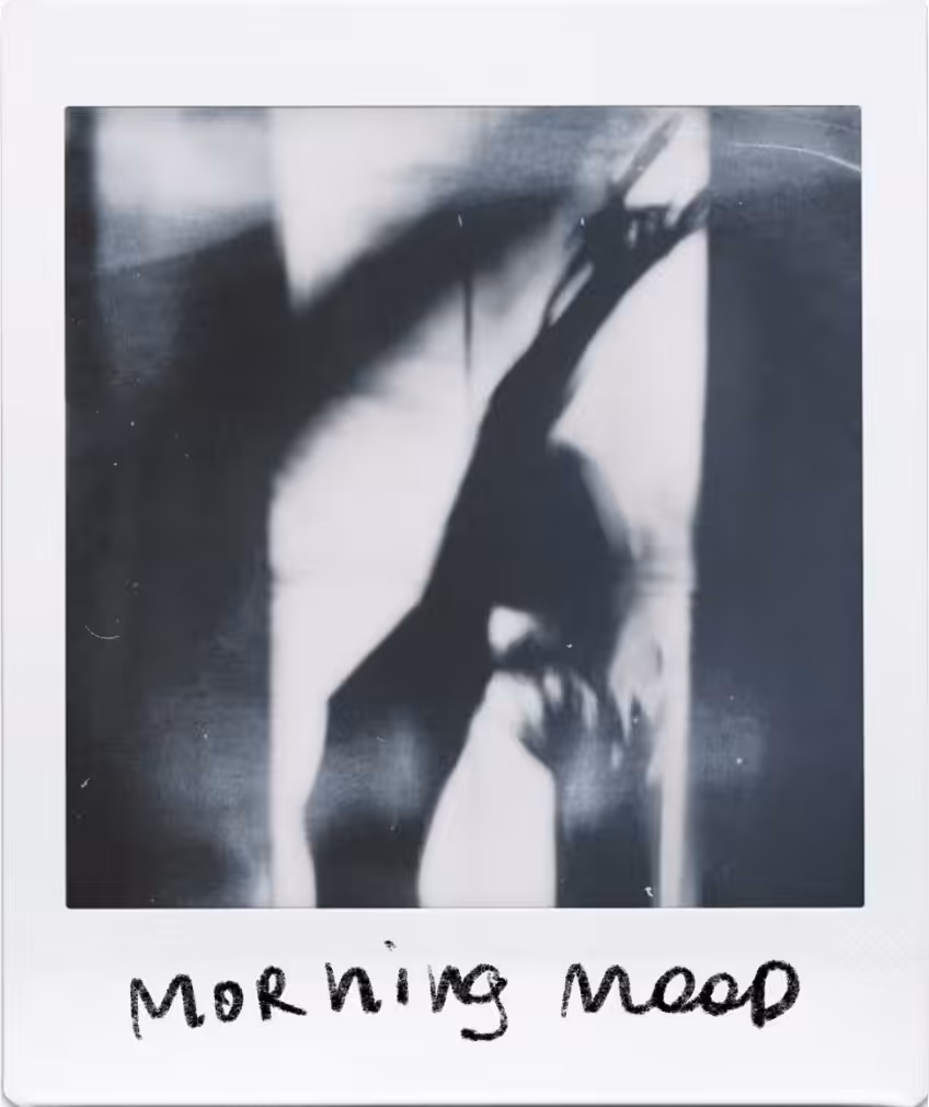 Polaroid 109