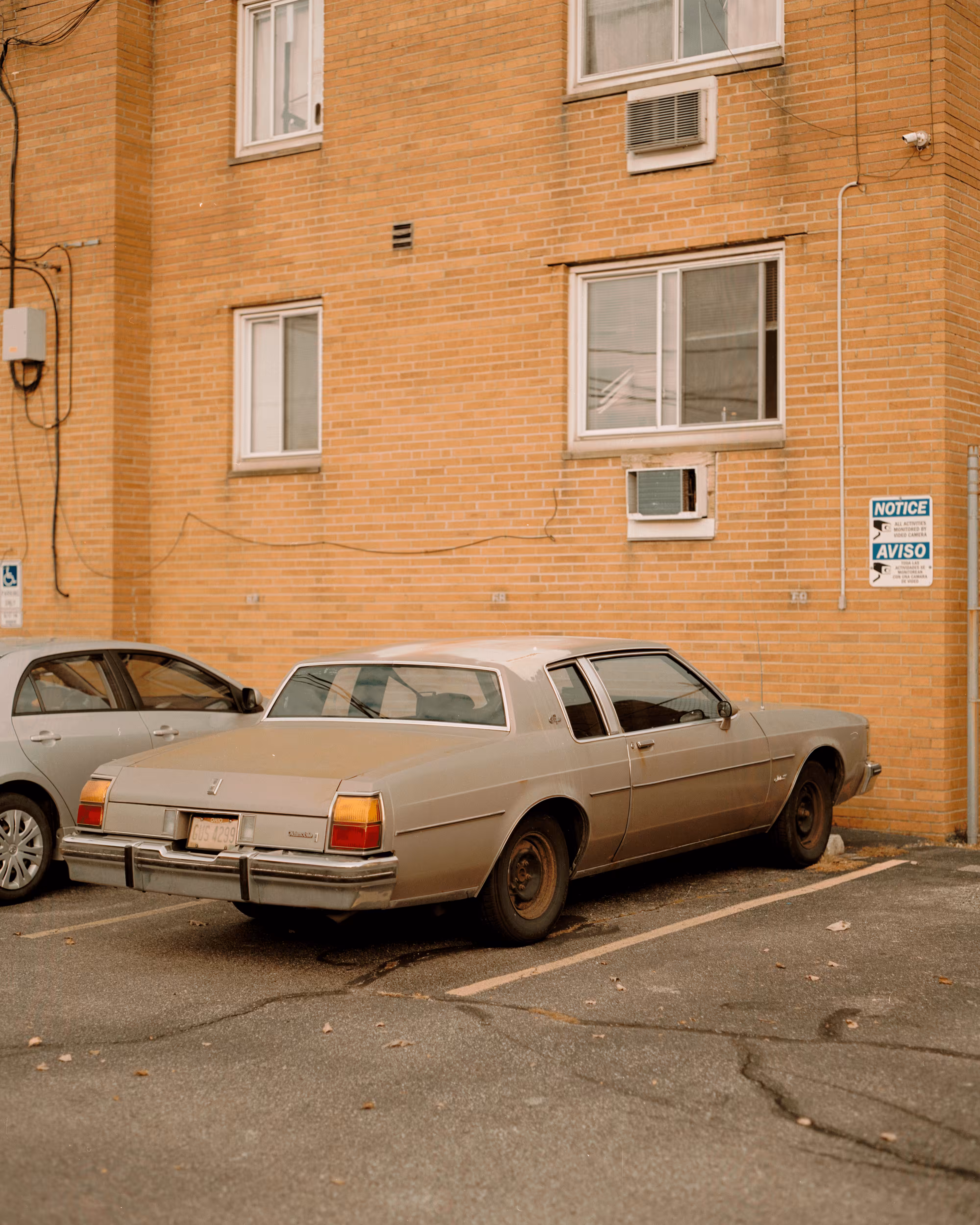 Hidden In Plain Sight #008. Bricks