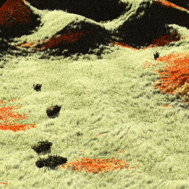 California Hills in Late Sun #51