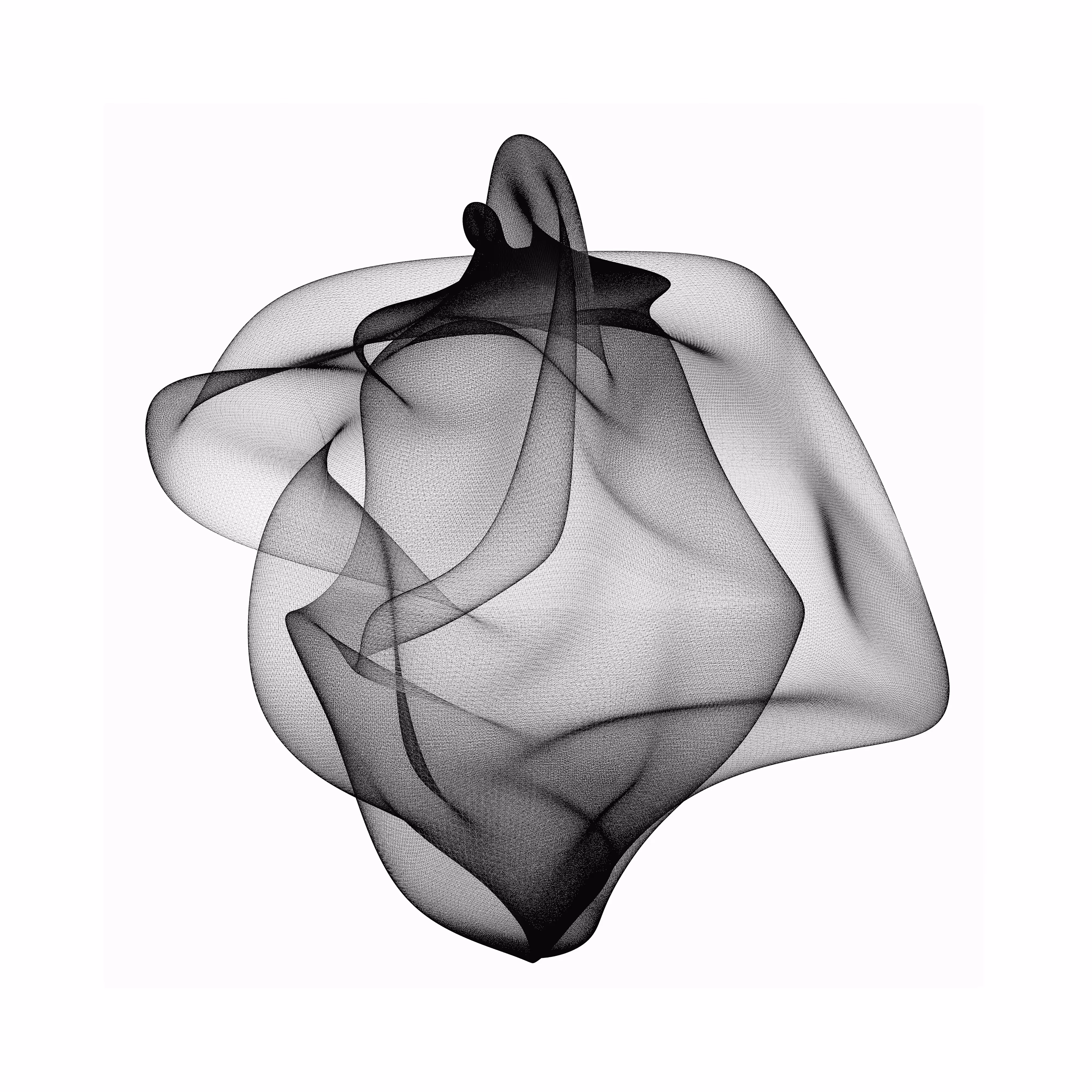 Fine mesh of a distorted soul