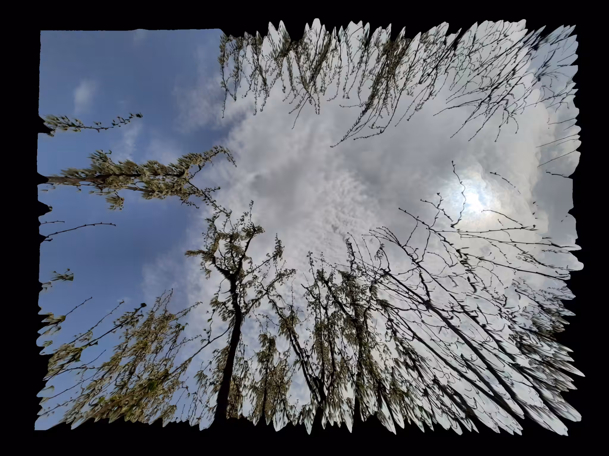 Distorted SKY