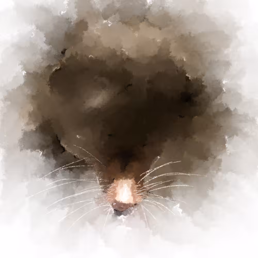 #5 Mole Stain