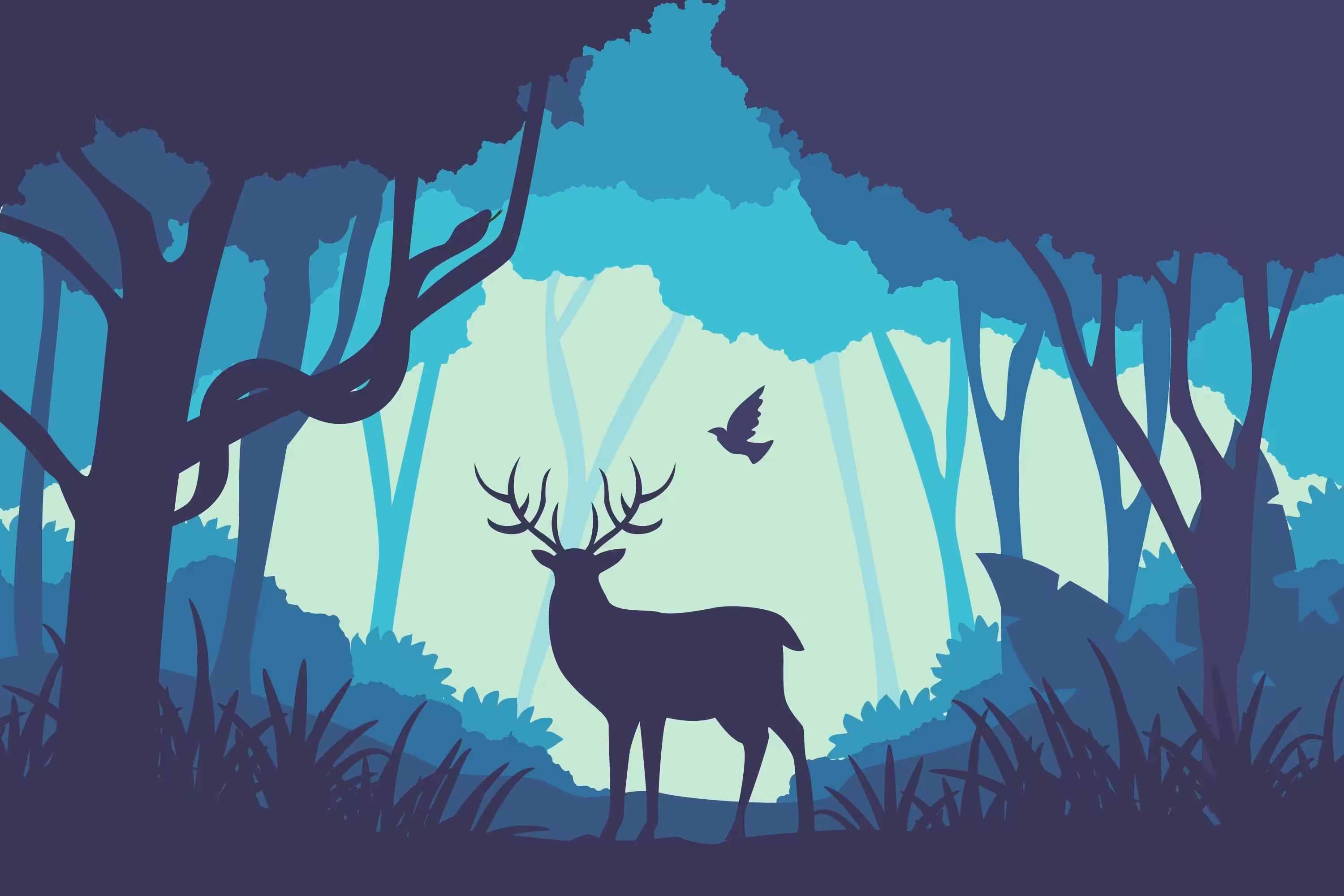 forest landscape