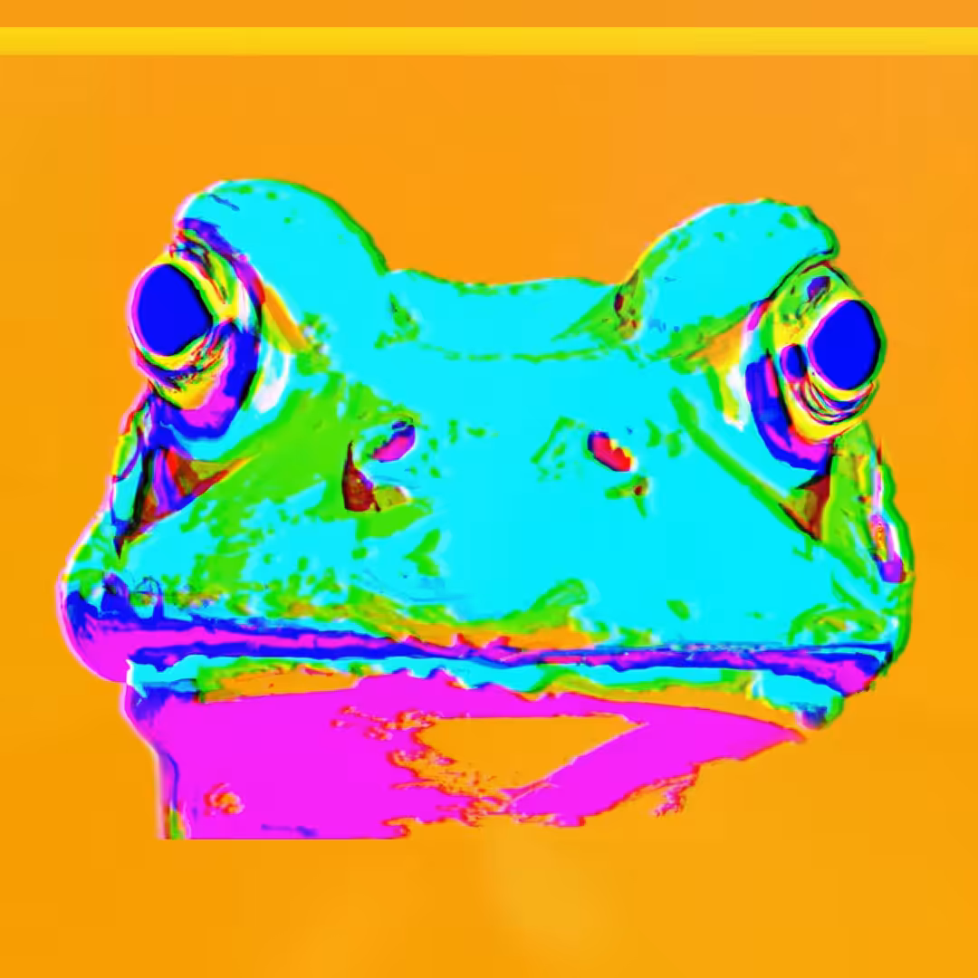 FROG - SA#031