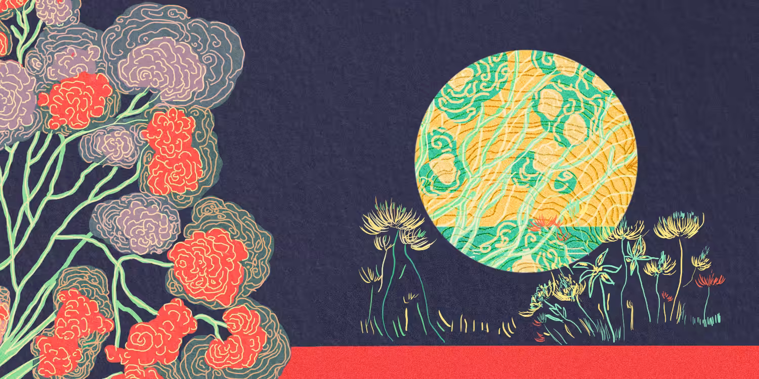 002Moonscreen