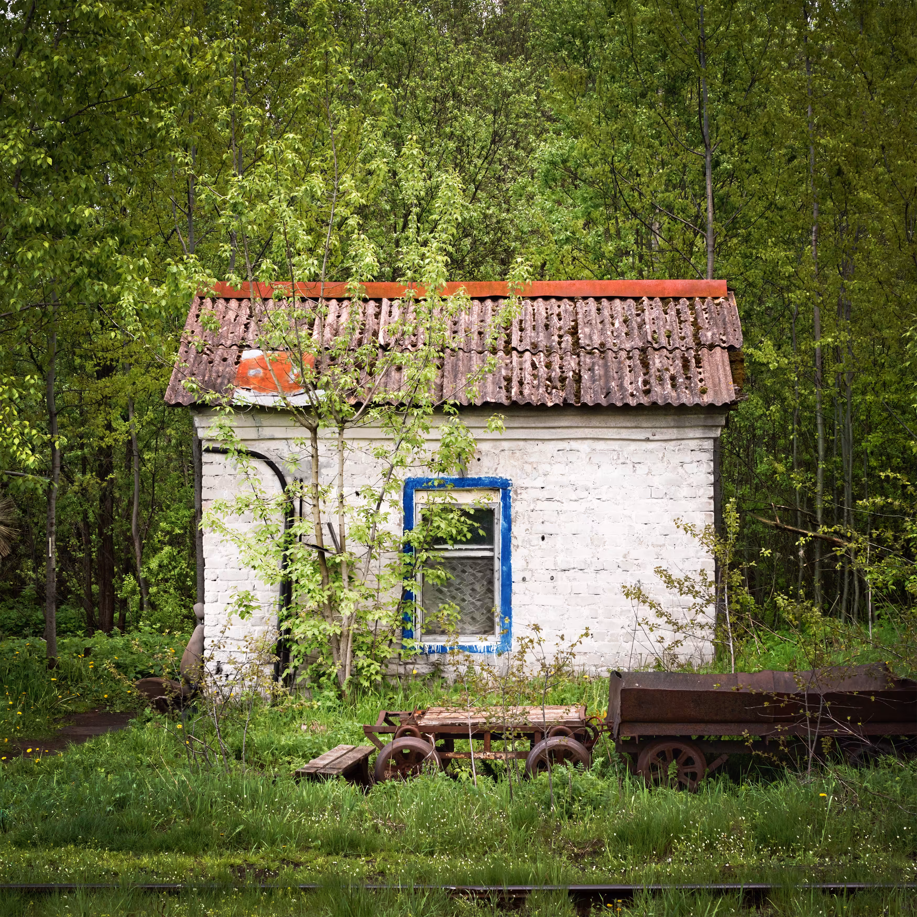 A tiny cozy house in the woods