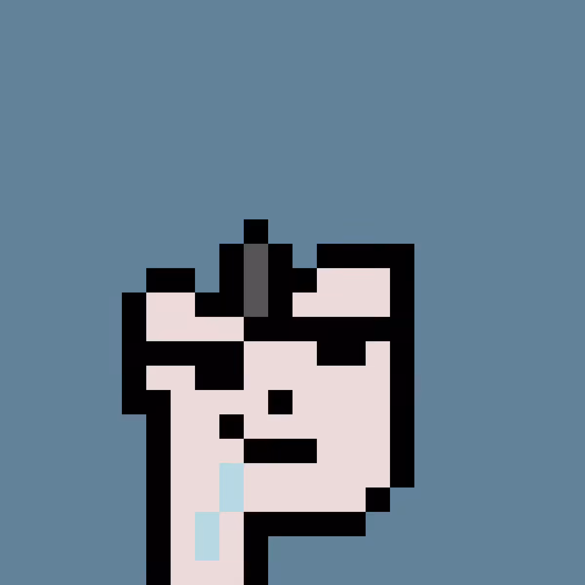 PNUKS #3660
