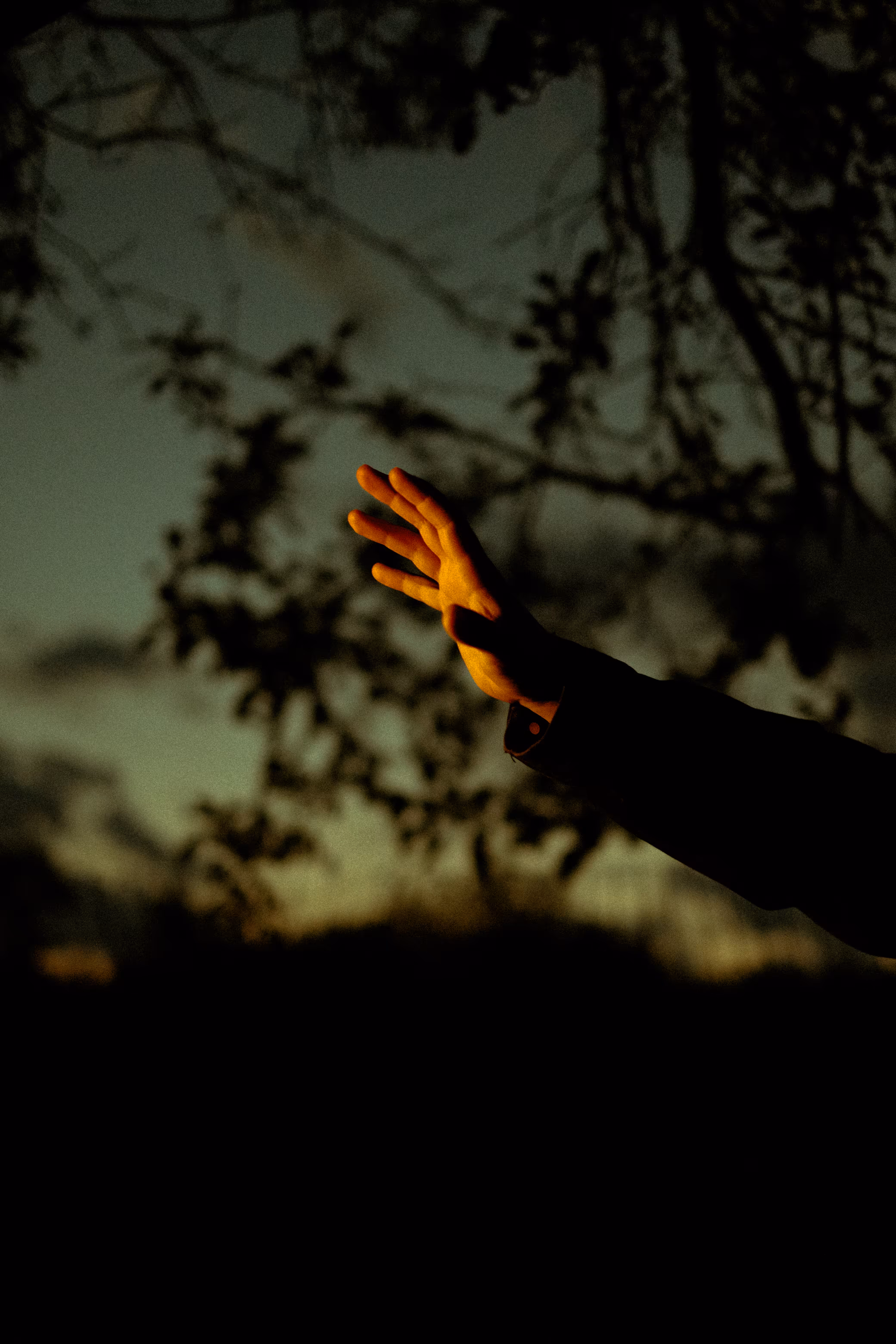 To the light