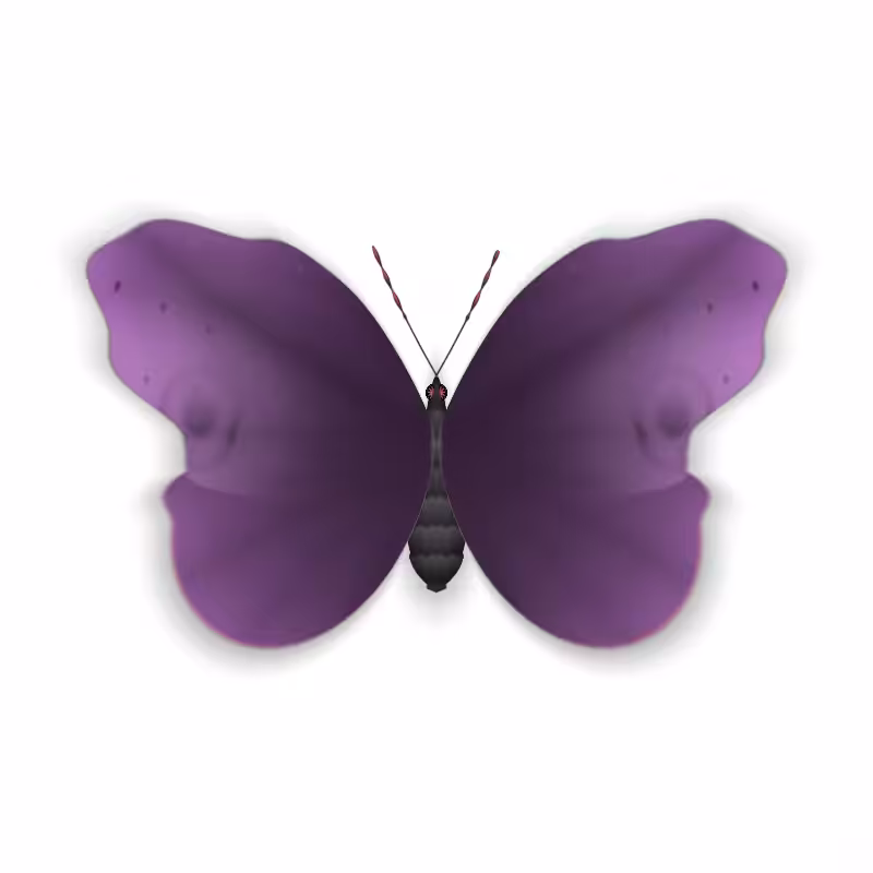 Vlinder II #45