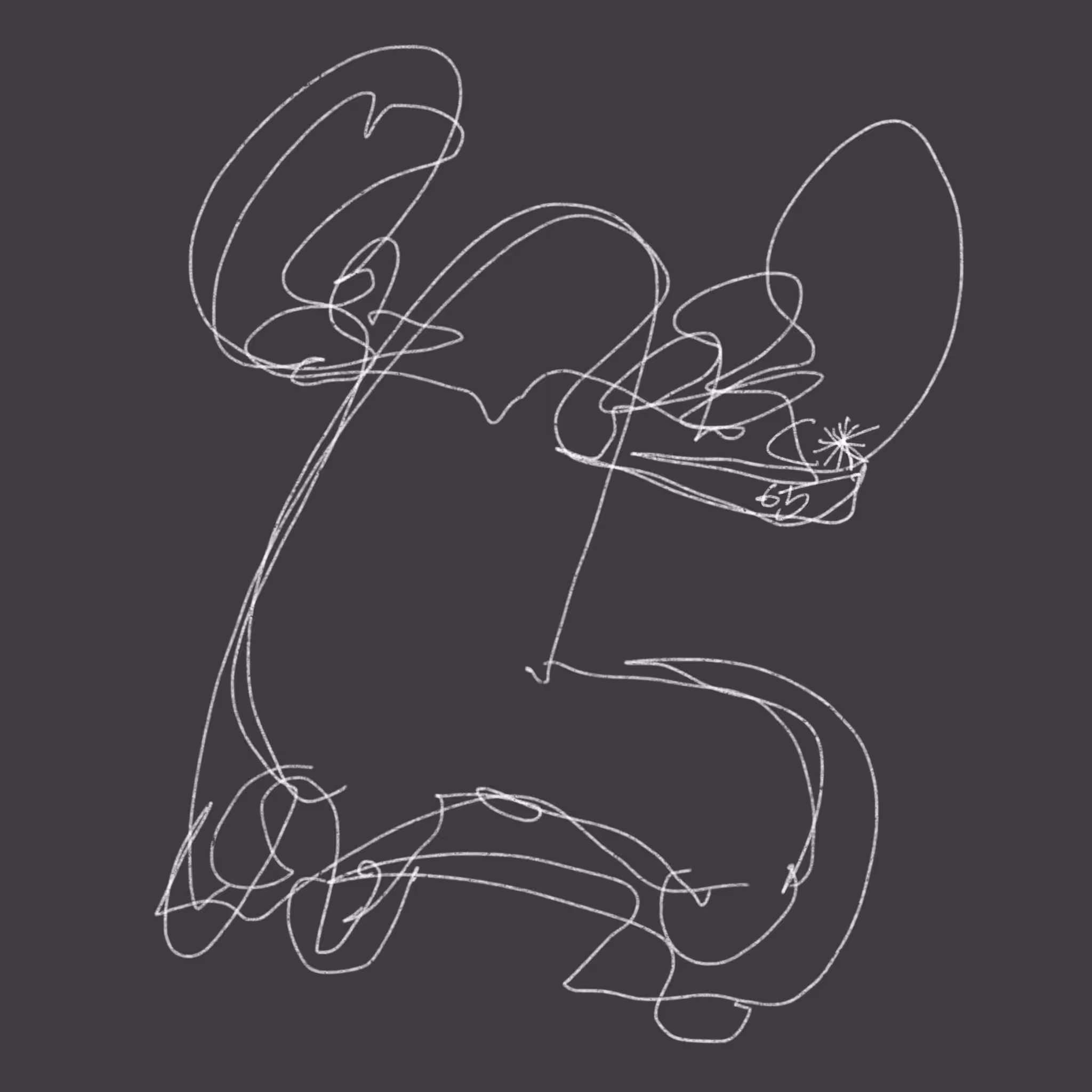 Raiki 1