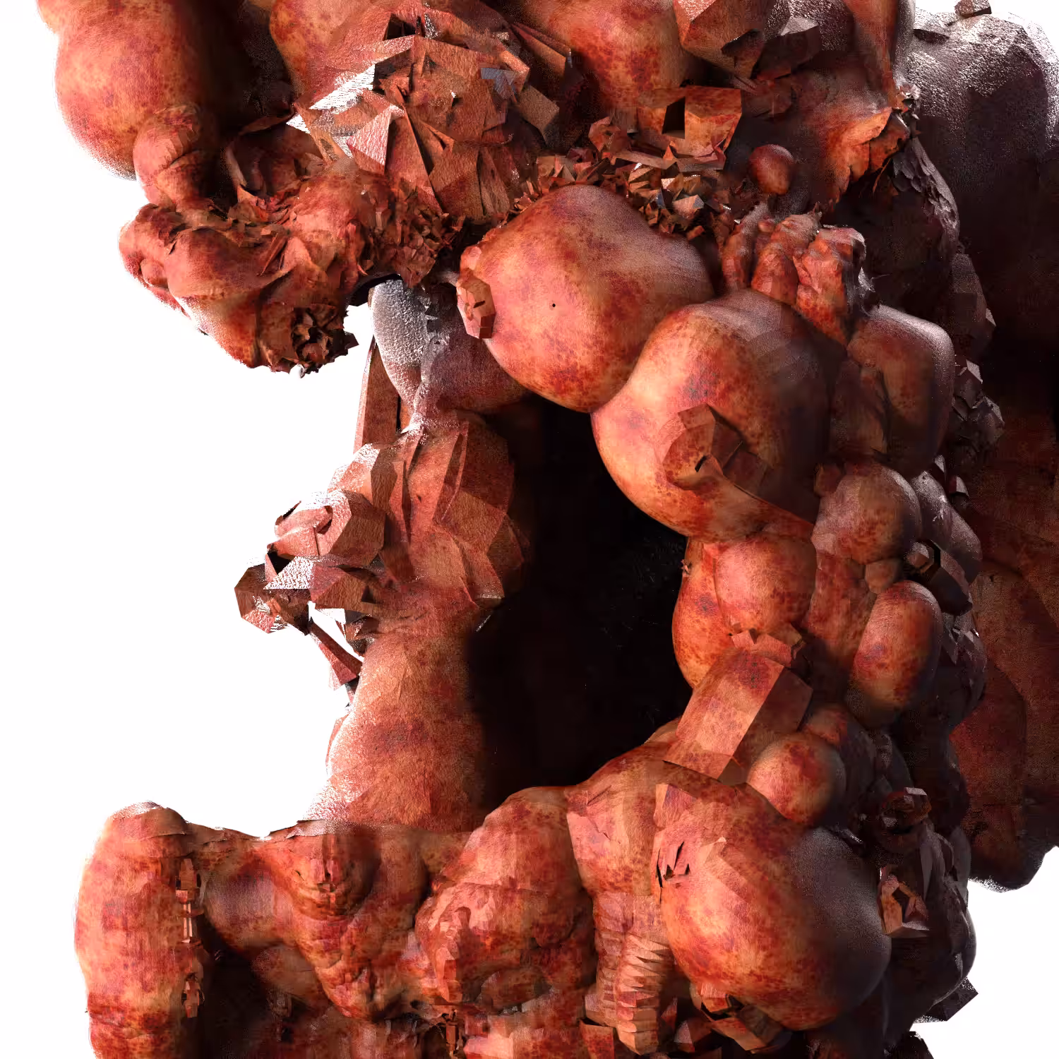 meat.01