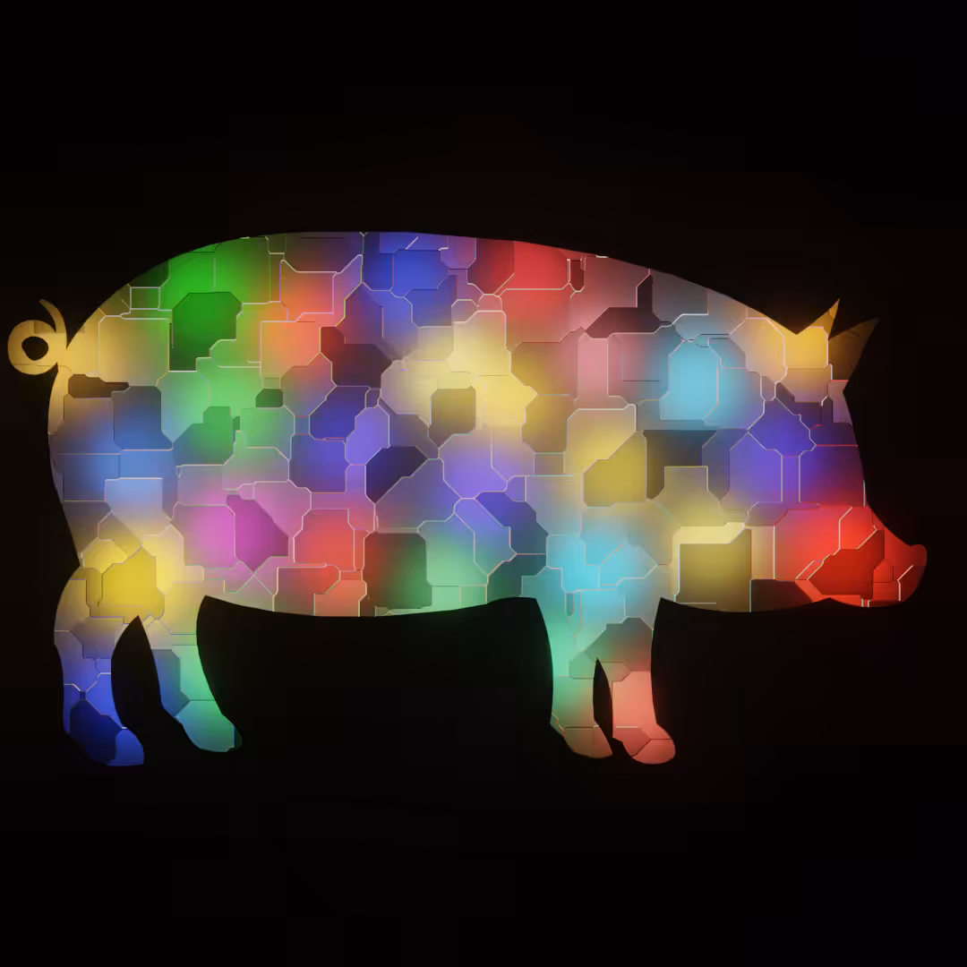 pig