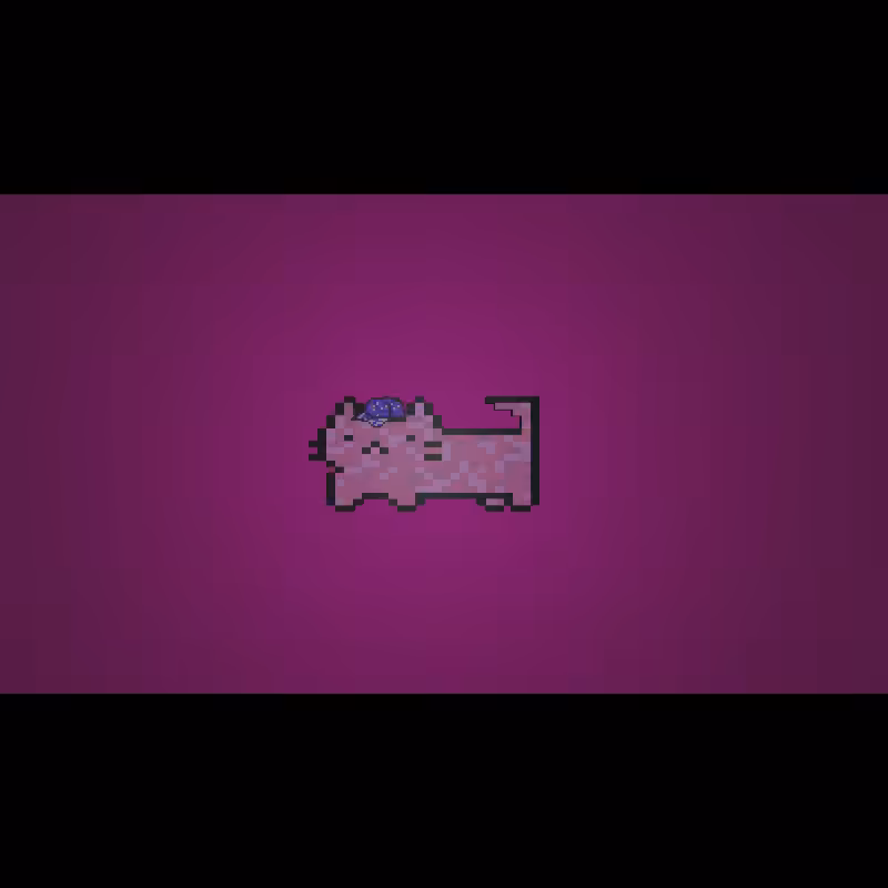 fx(cats) #64