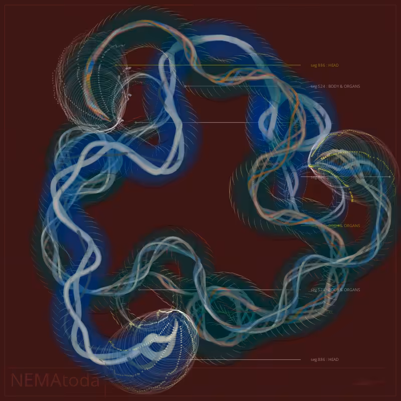 NEMA #93