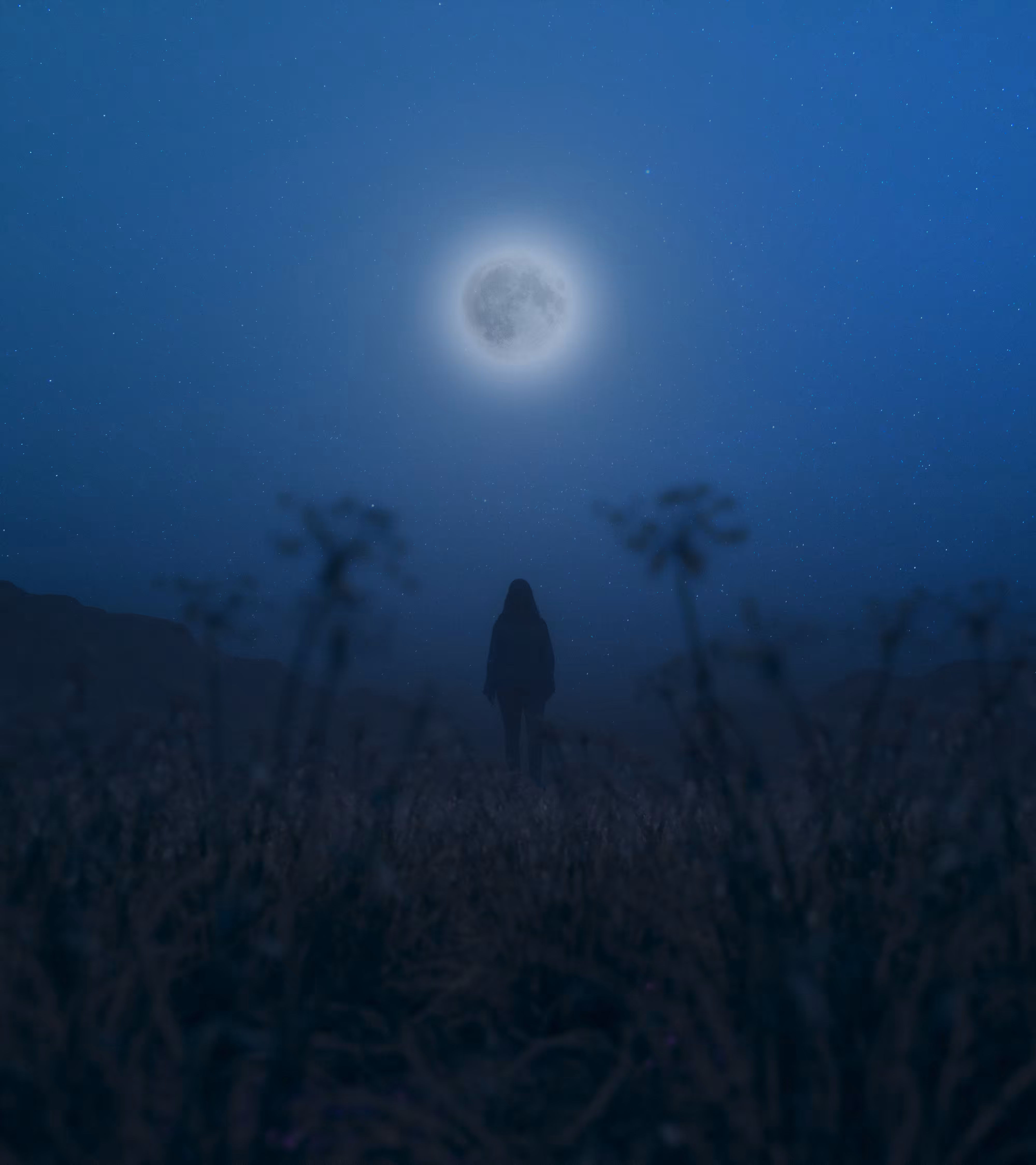 Insomnia