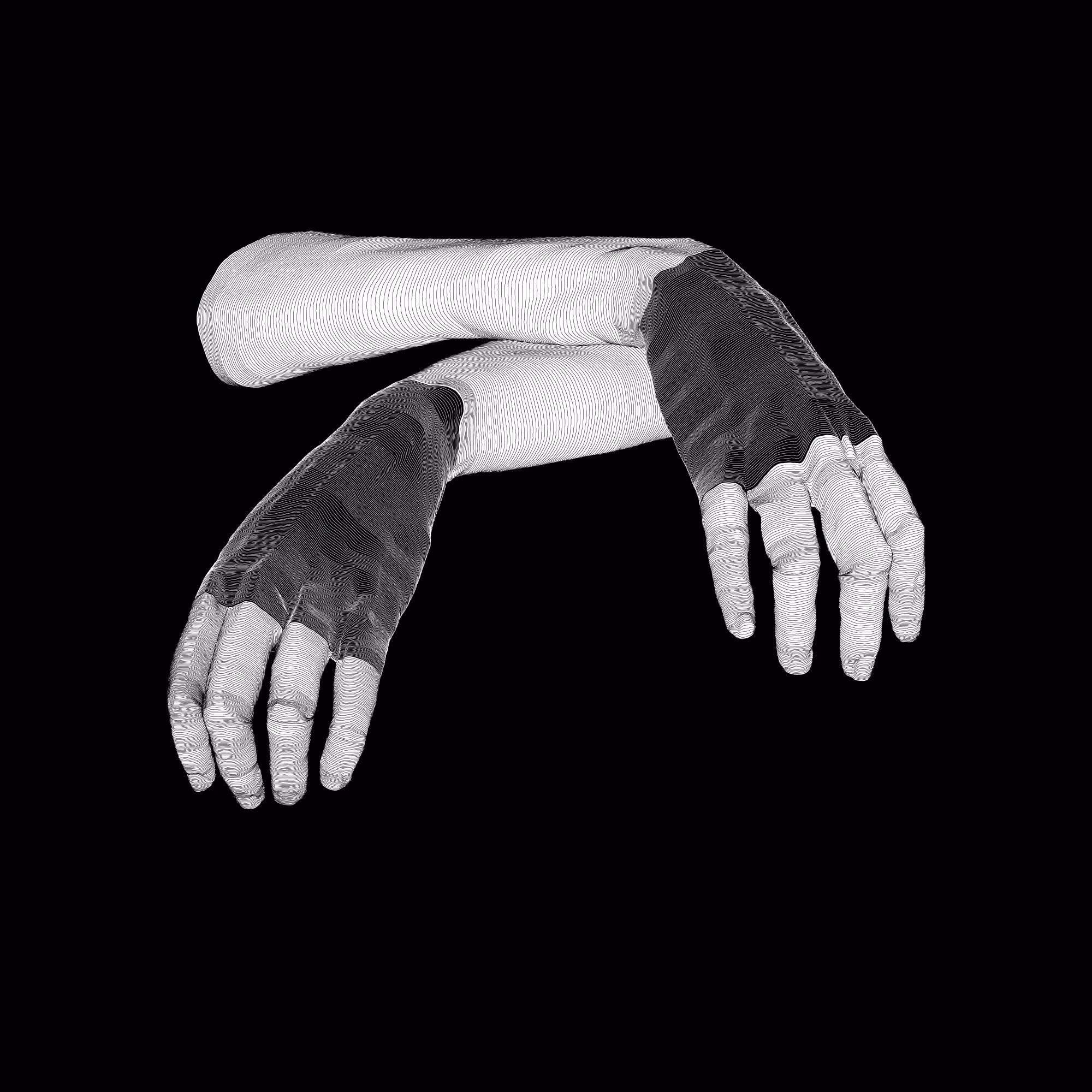 AnAtomy Base 06