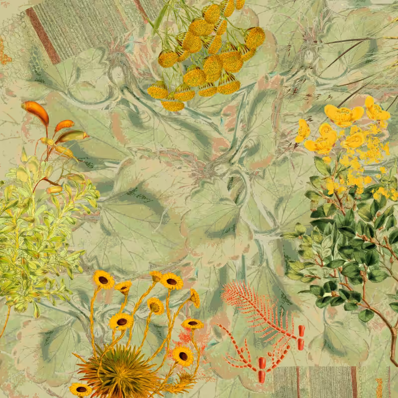 future flora from Antarctica's past #31