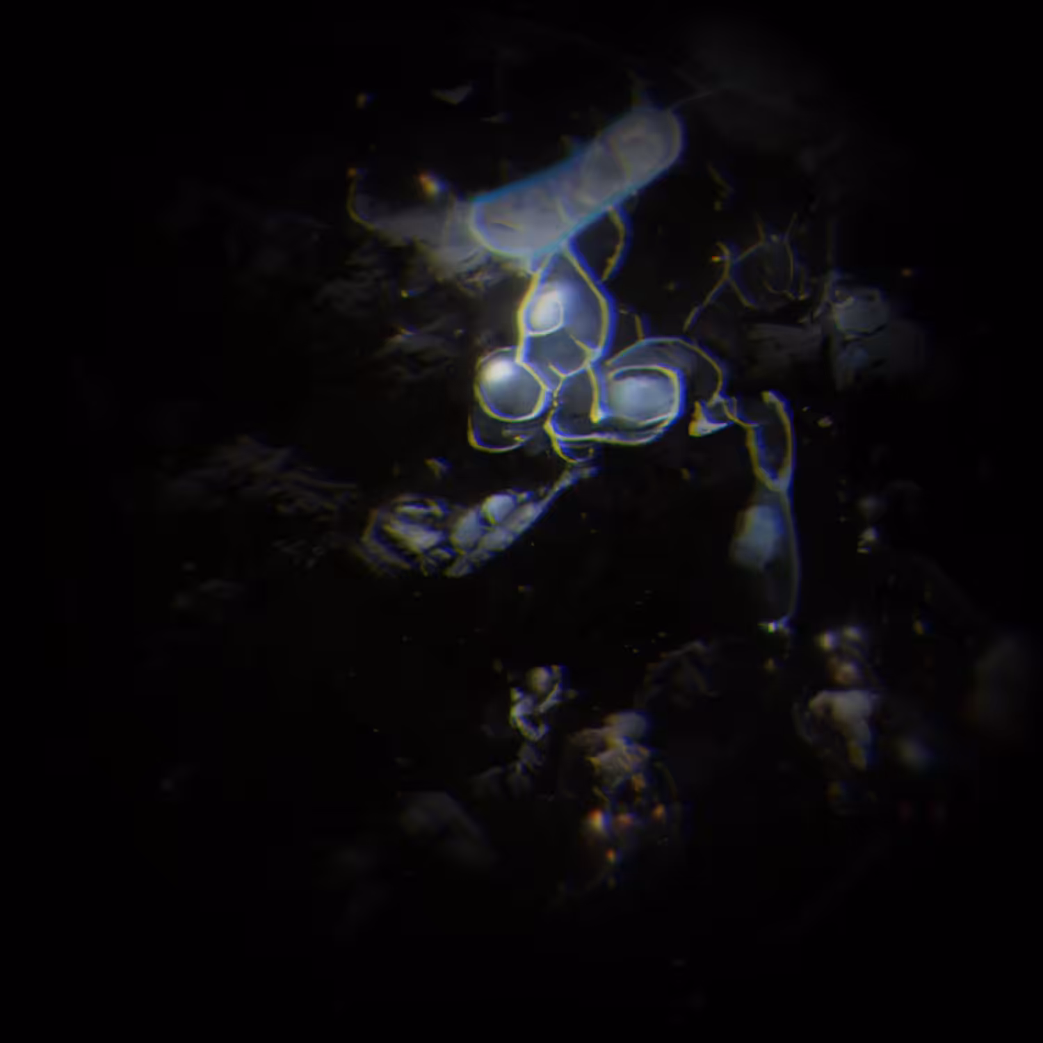glitchspace13