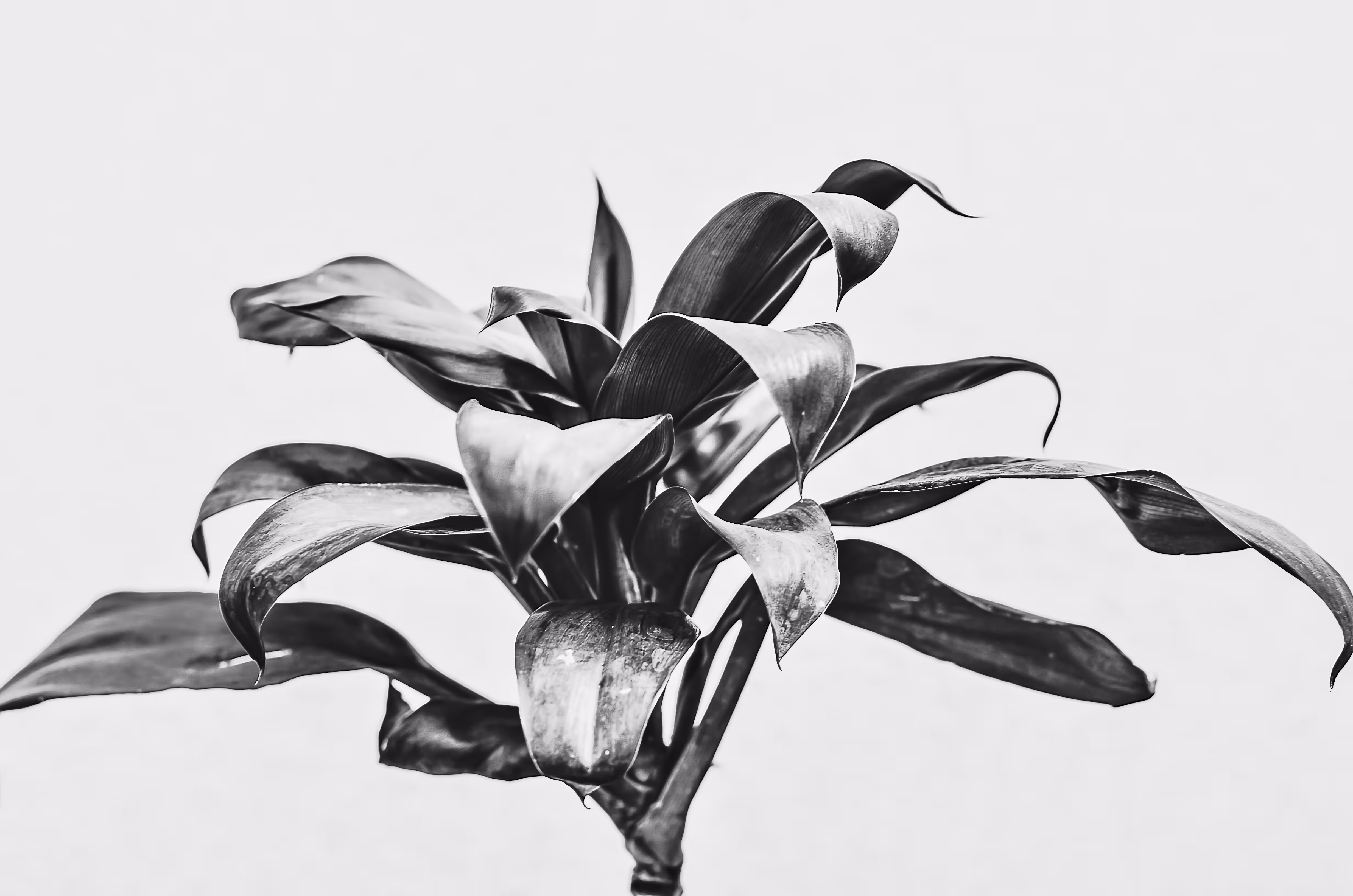 Enjoy the Poetry II