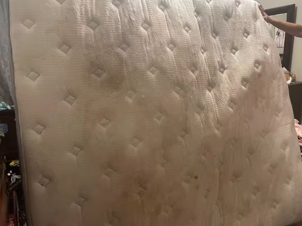 Free king size mattress (Lutz)