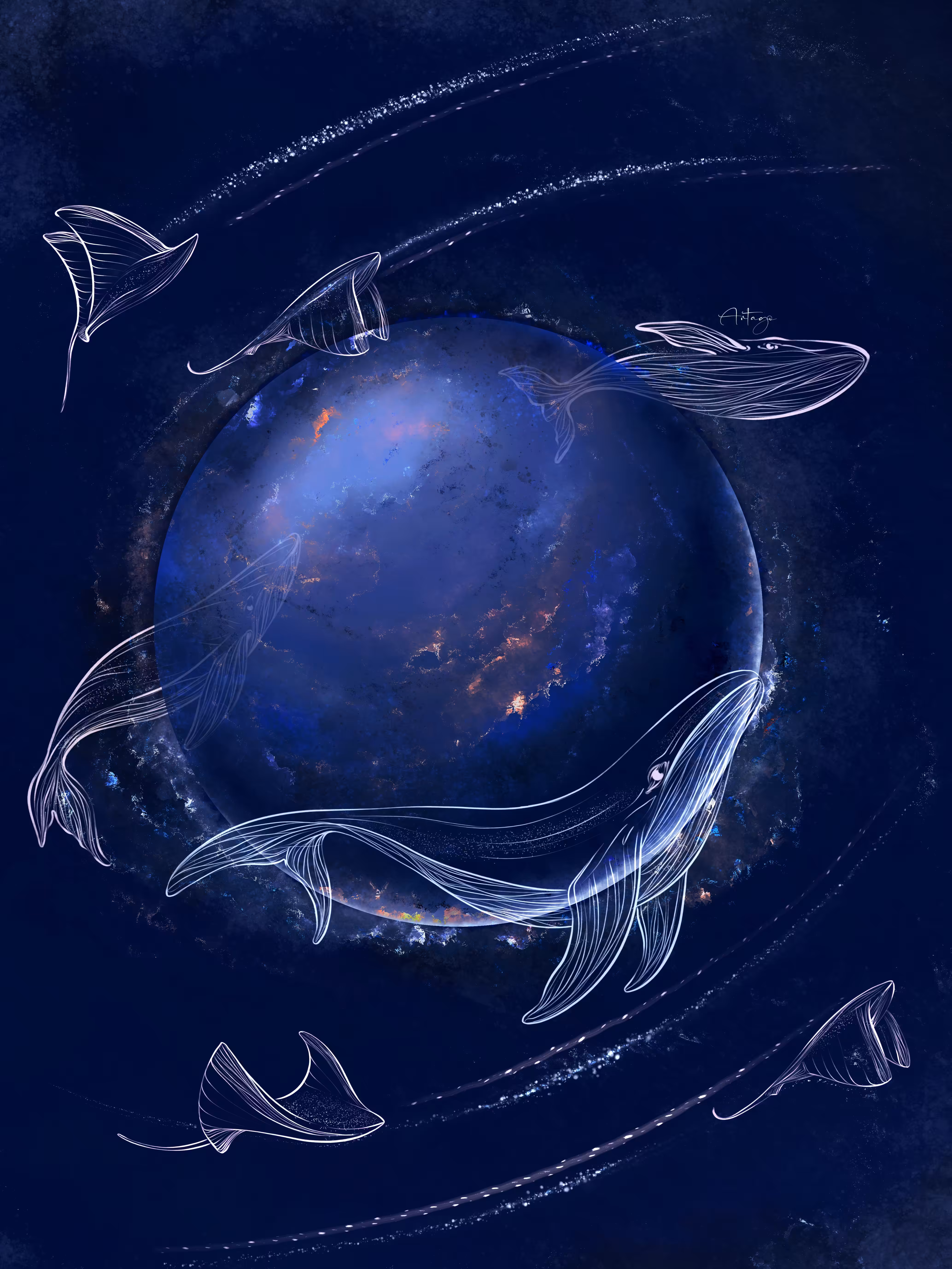 Dreams 🐋