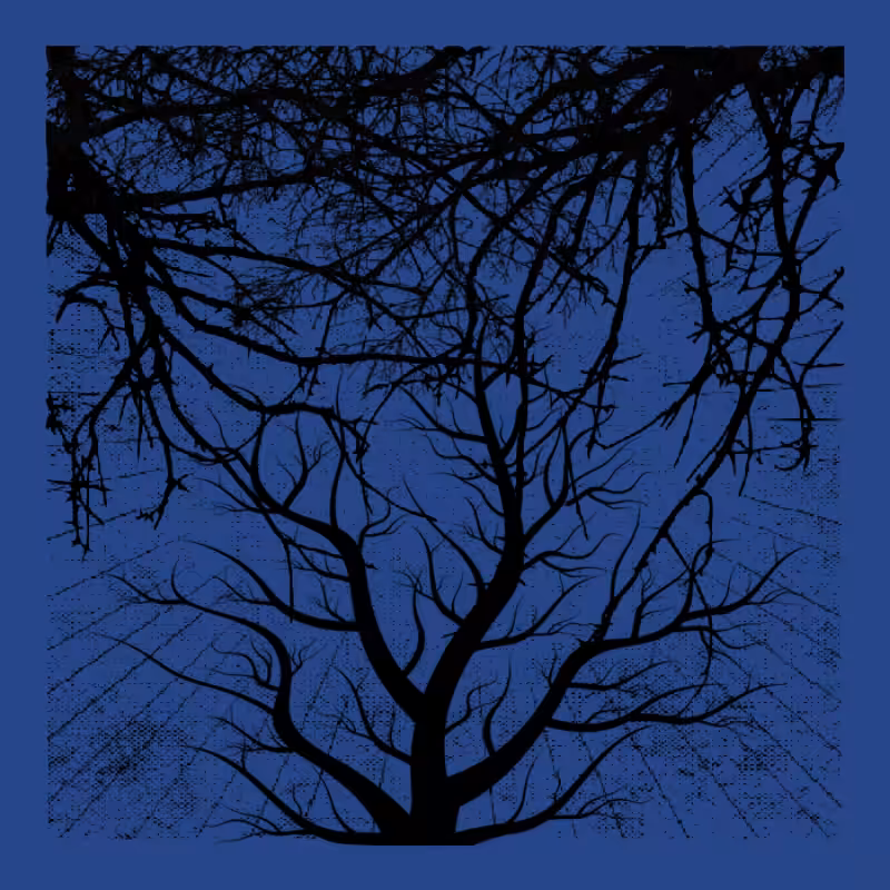 Forest of Shadows HD #4