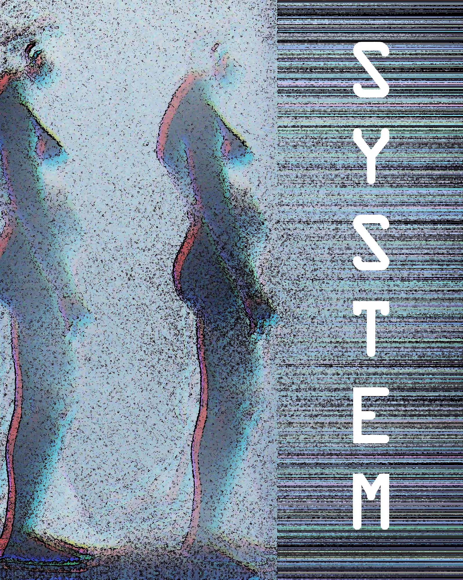 System