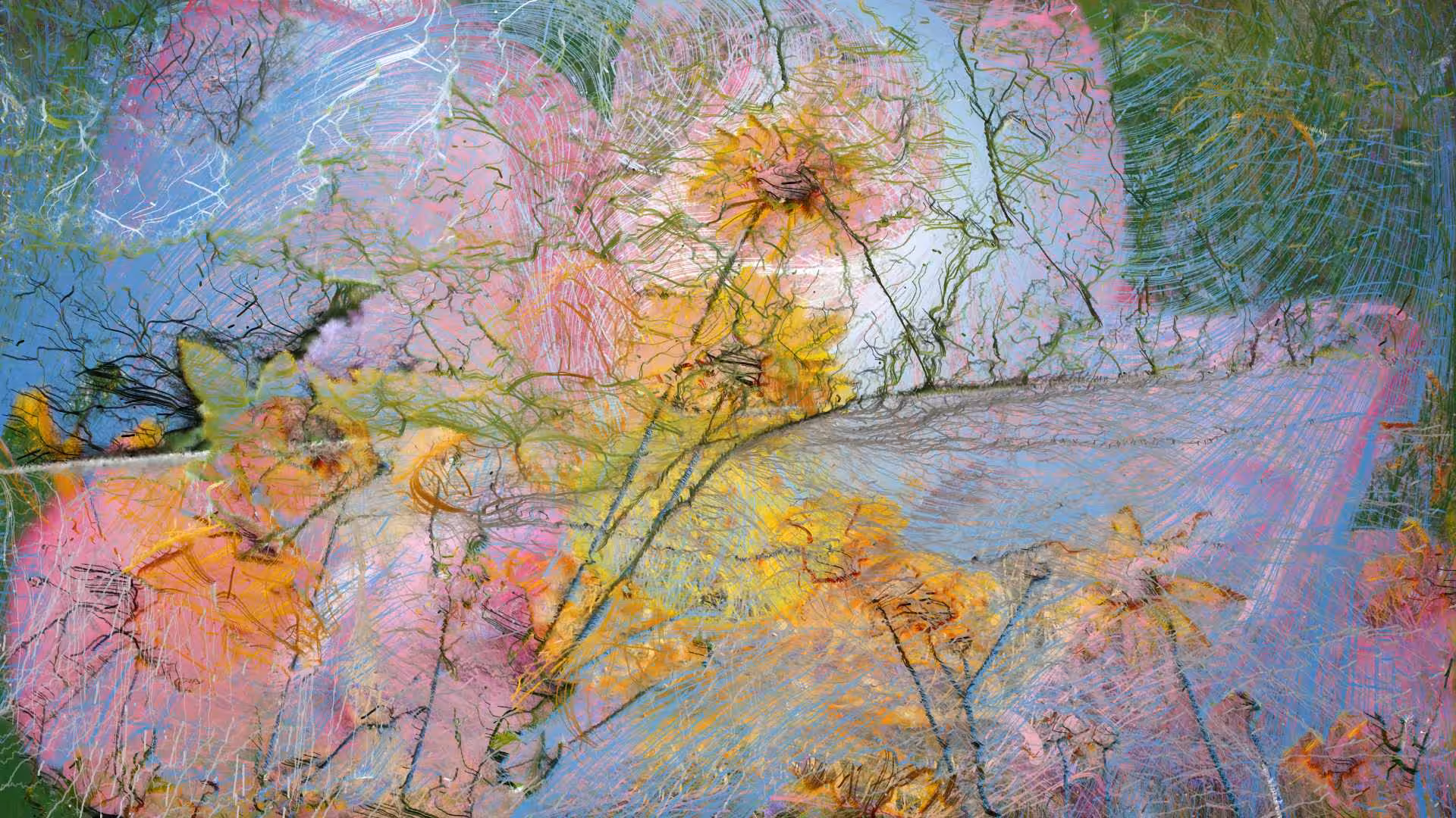 Nature Dream