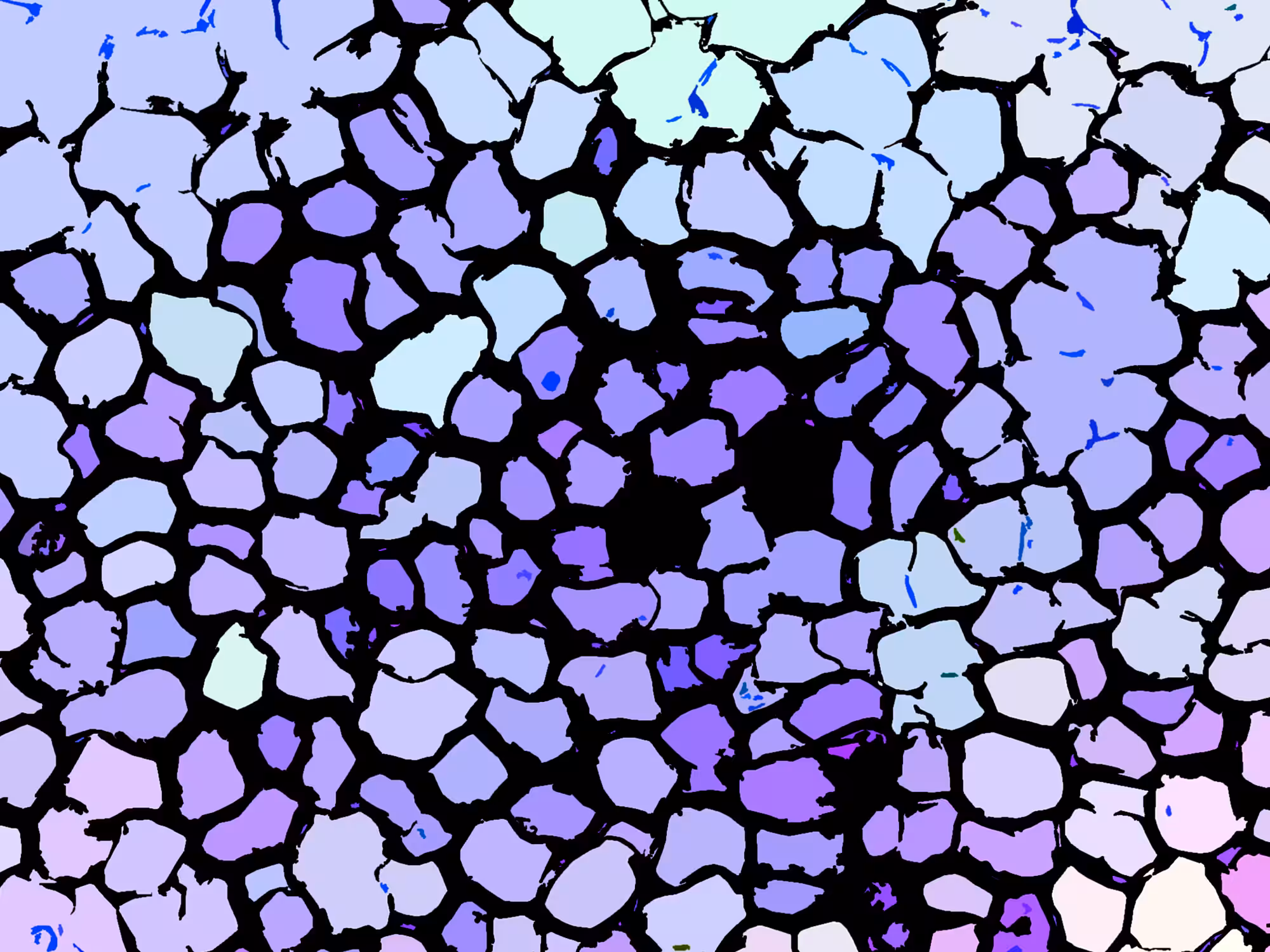 The Face of the Microcosm #01