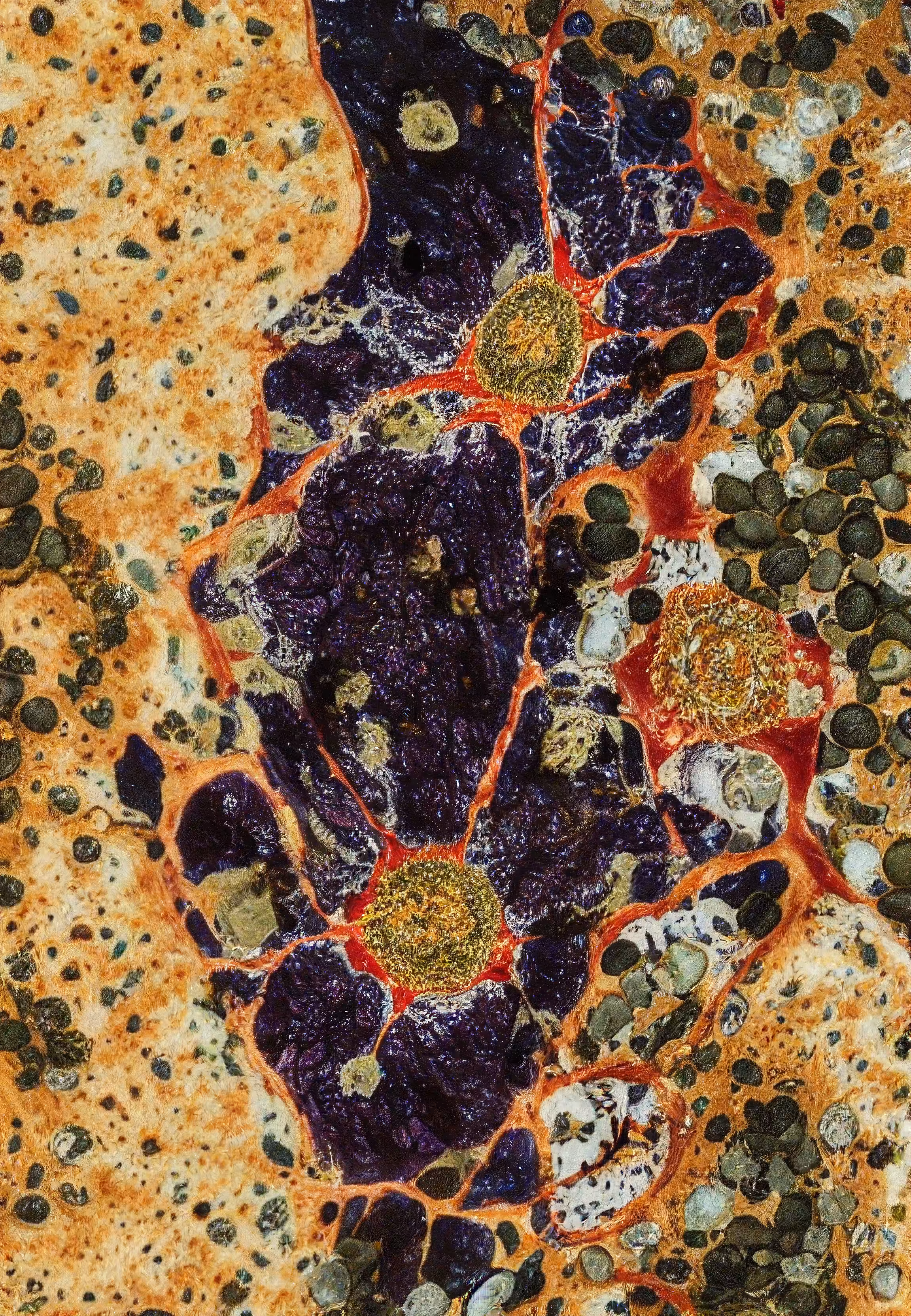 Histologia In Silico #277