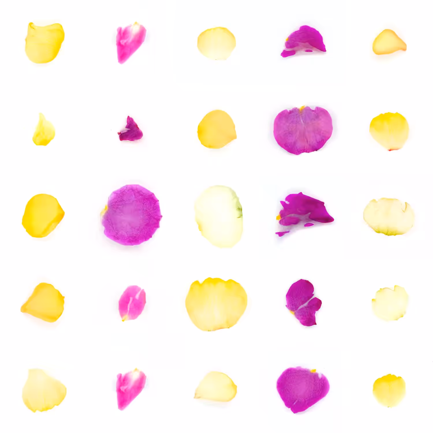 Infinite Petals 5x5#20460