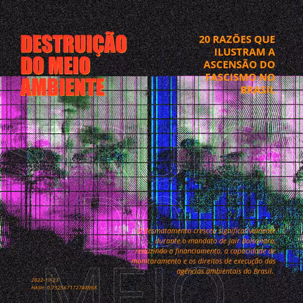 B4D - Brazil4Democracy #17
