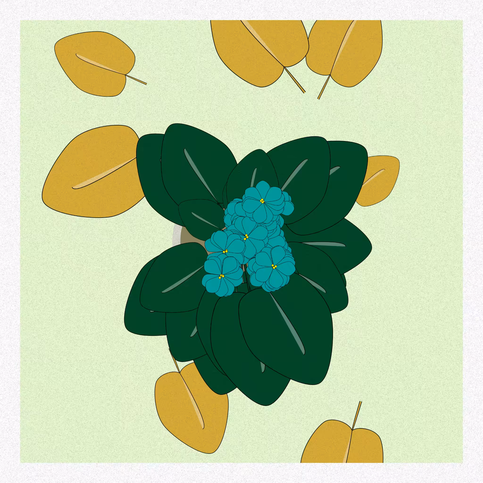 Flowers #117