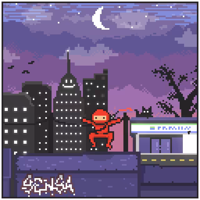 City Ninjaz #29