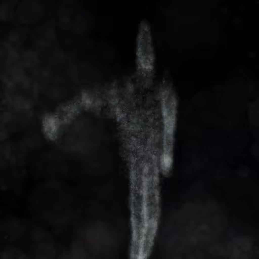 Phantoms: Phantom 7