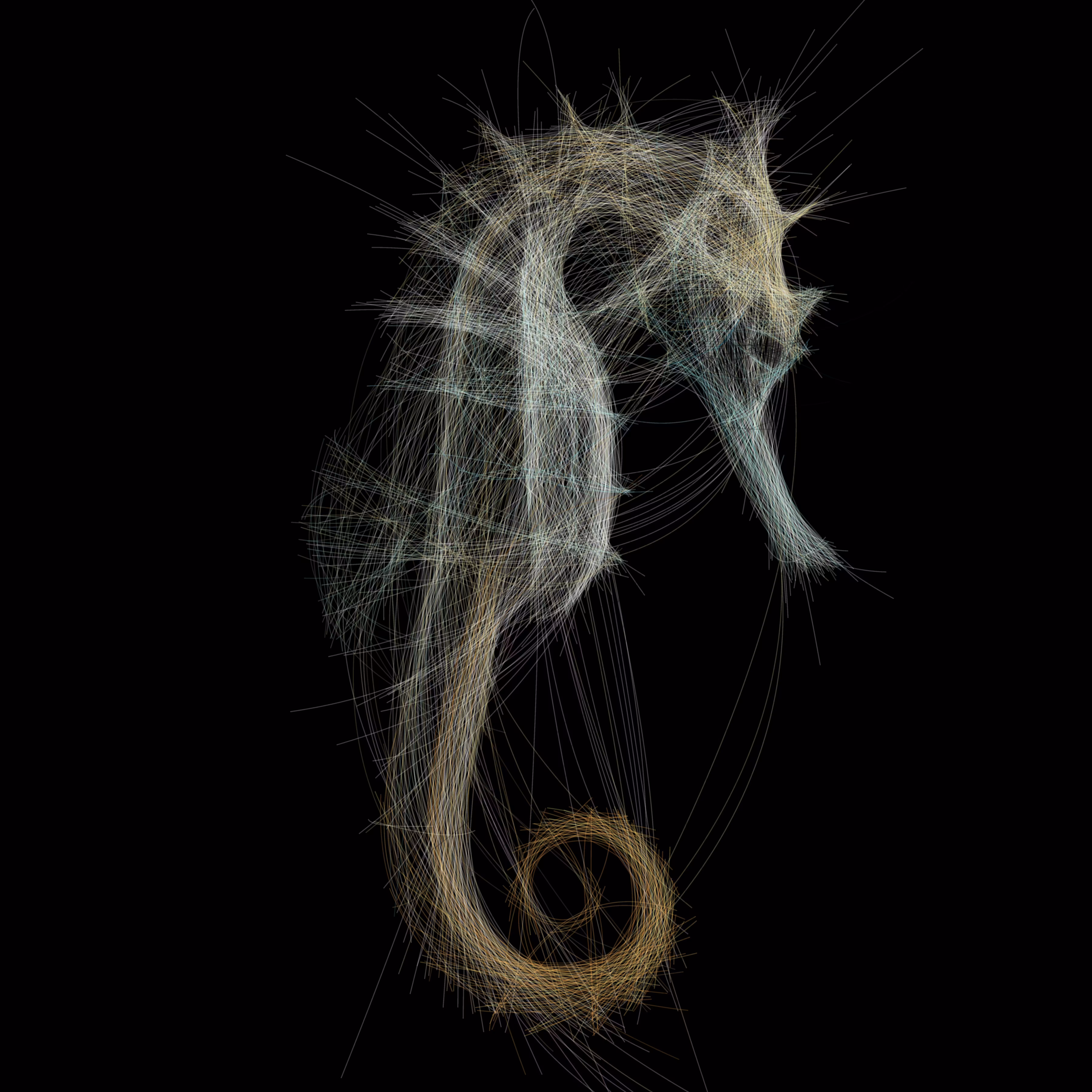 UNDERWATER: Underwater 122