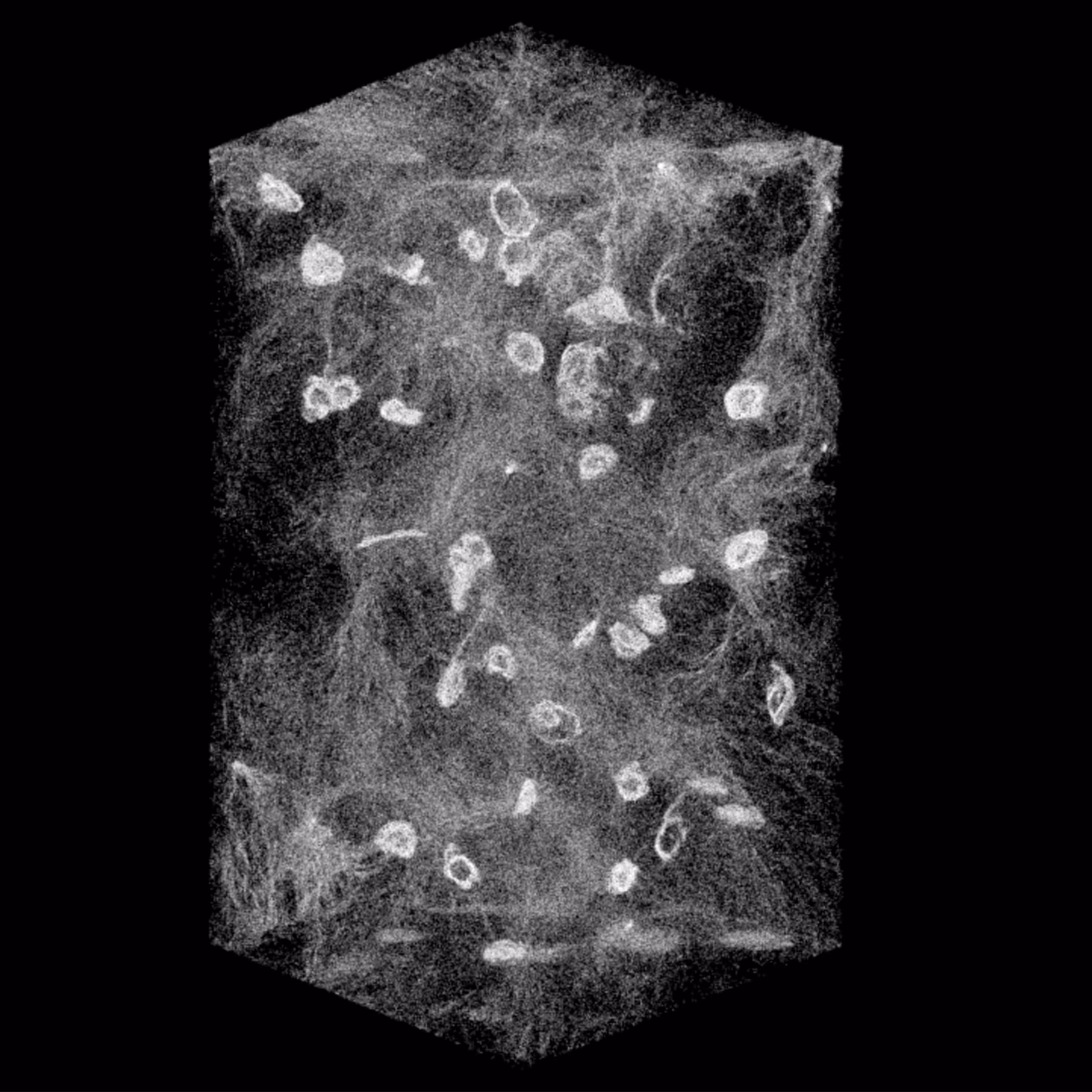Multiverse [Solid]