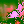 Pigeon 02