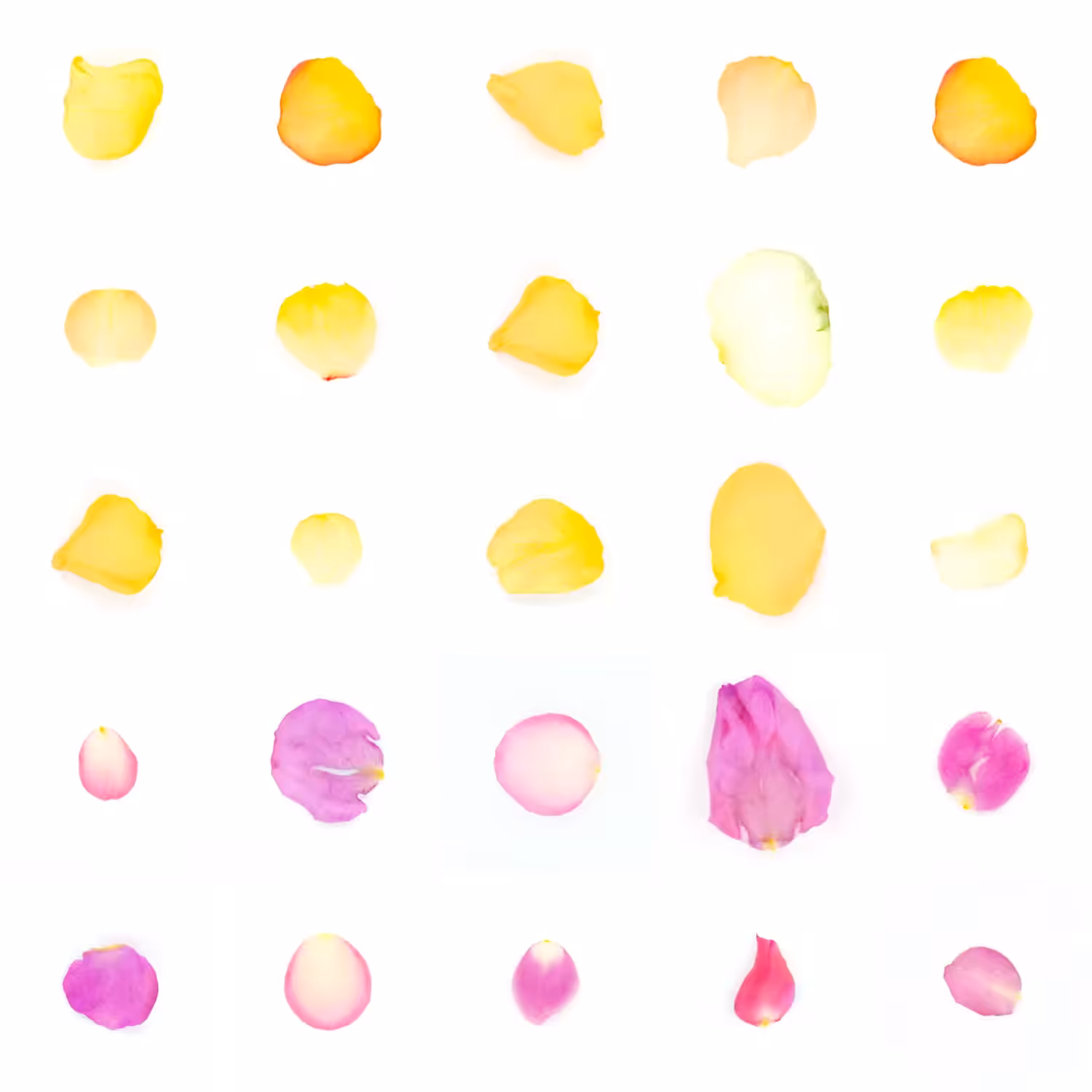 Infinite Petals 5x5#21126