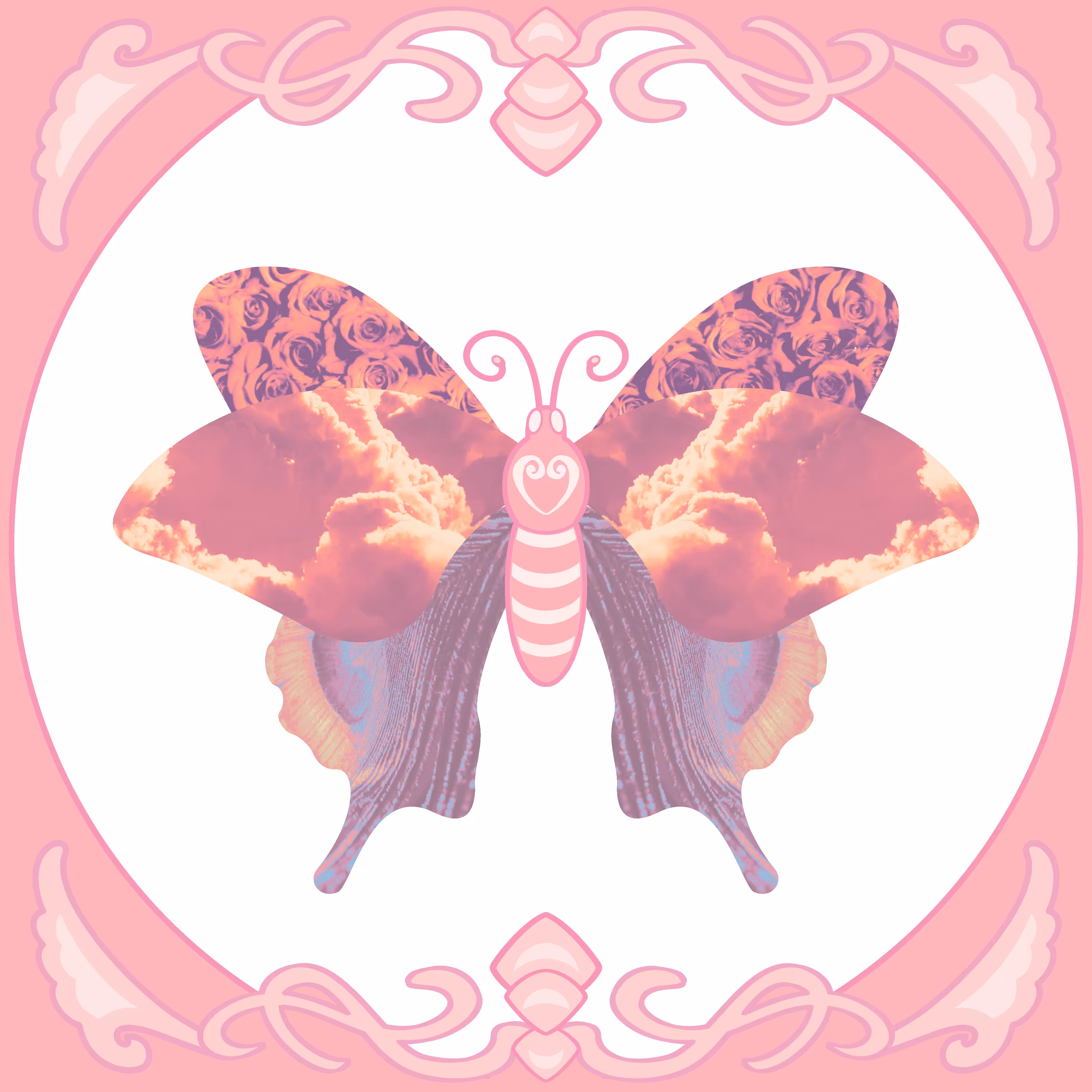Moth #1