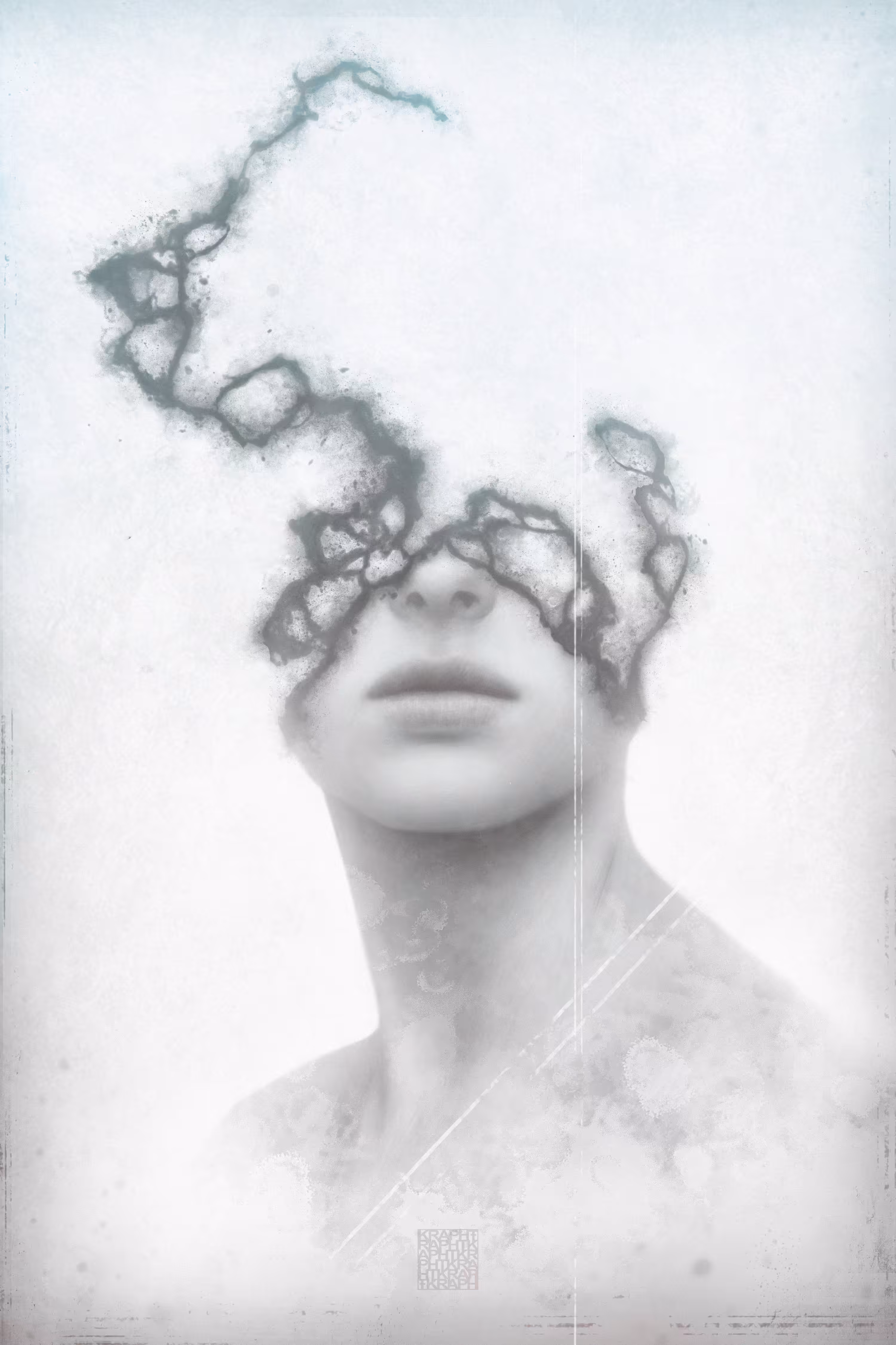 Follow Me into The Mist.