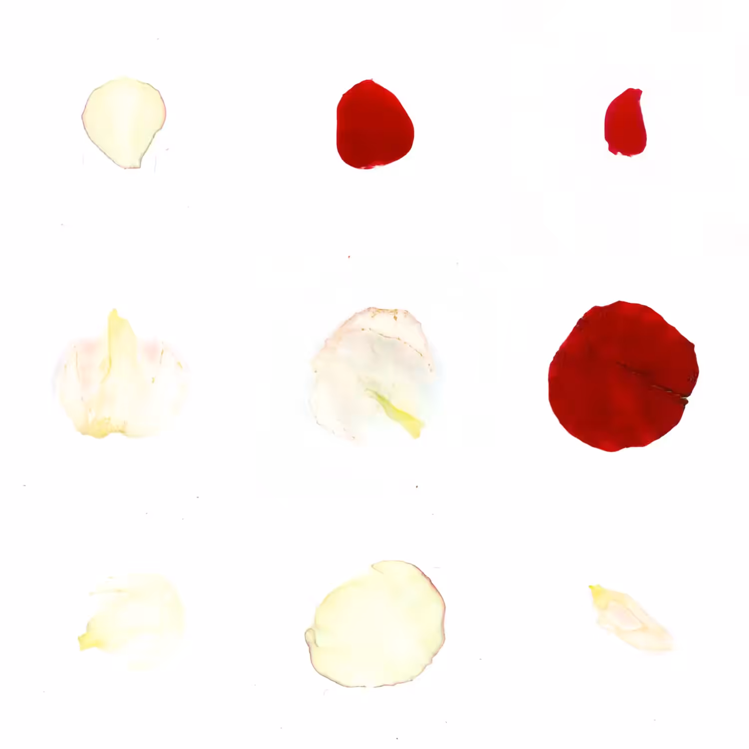 Infinite Petals 3x3#21178