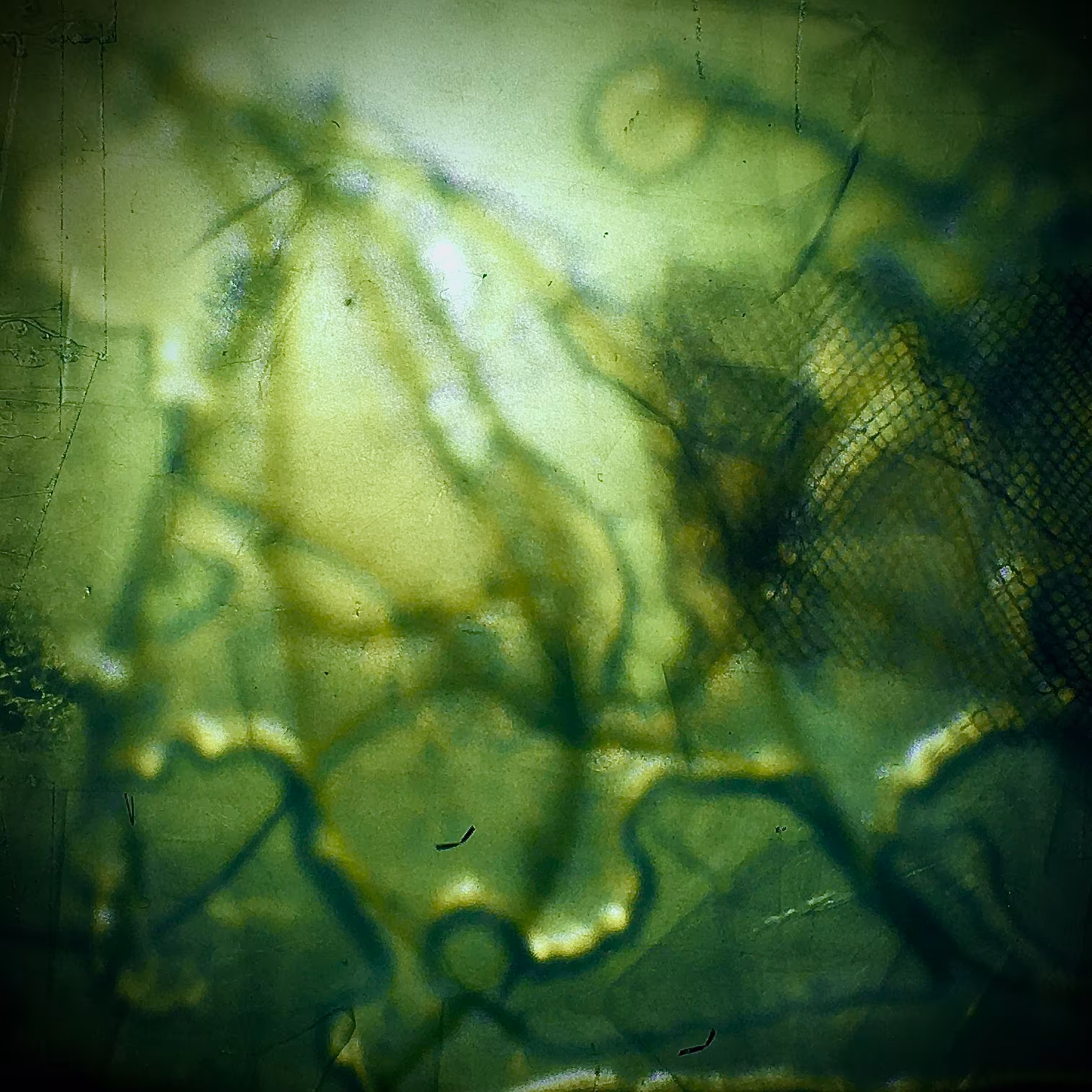 landLine 1/4