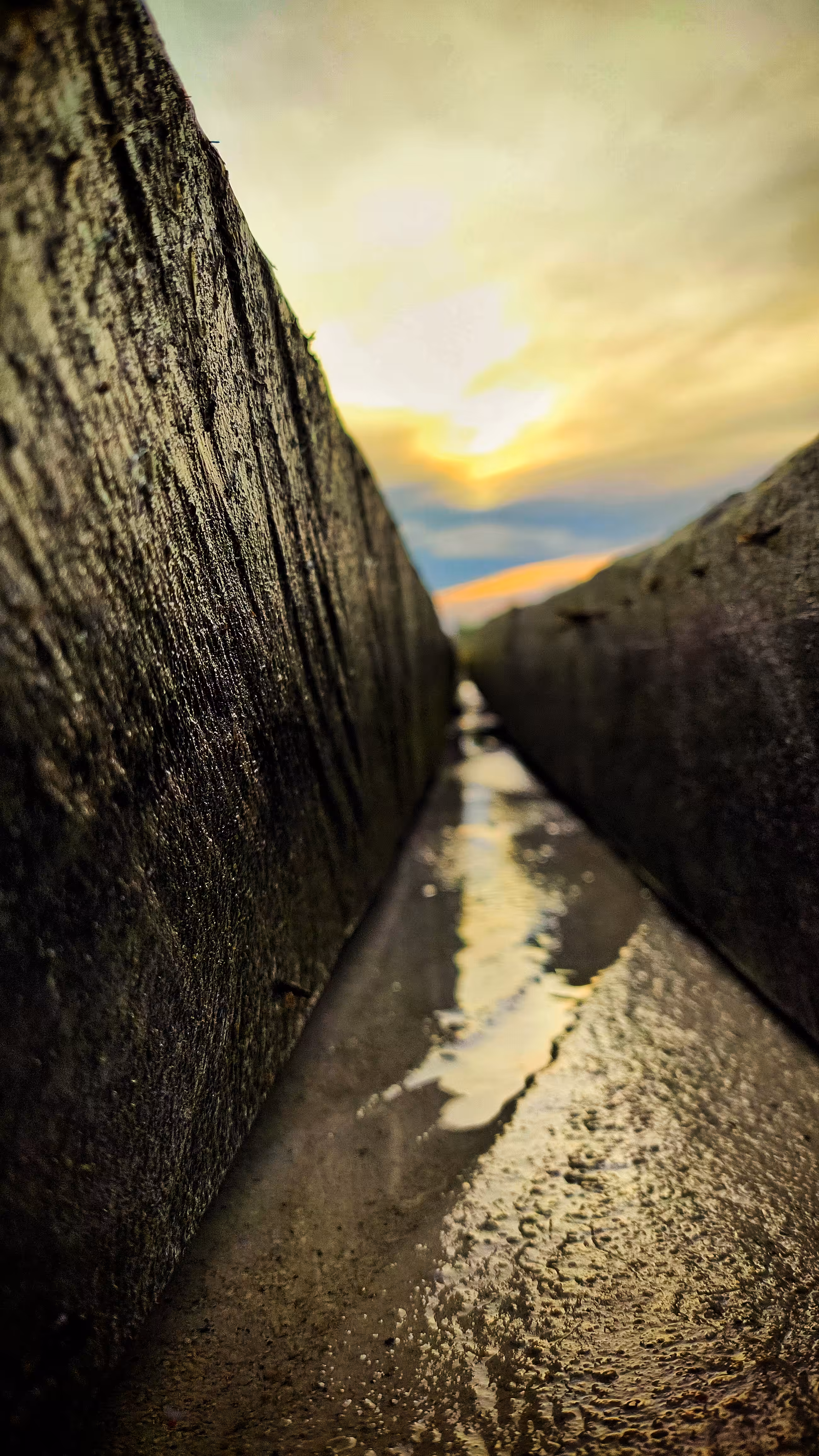 Through the Narrow Path