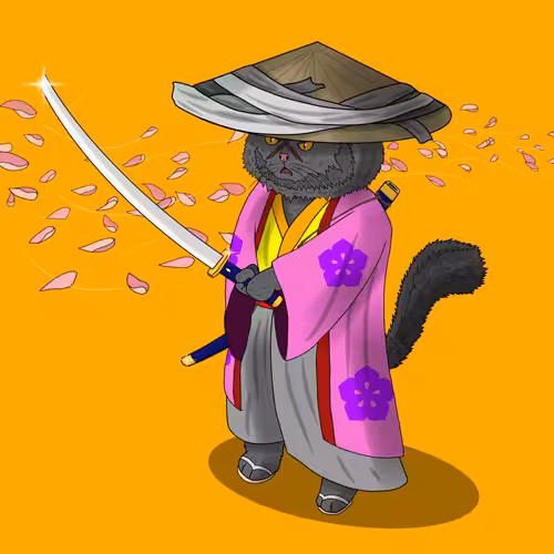 Ronin#16
