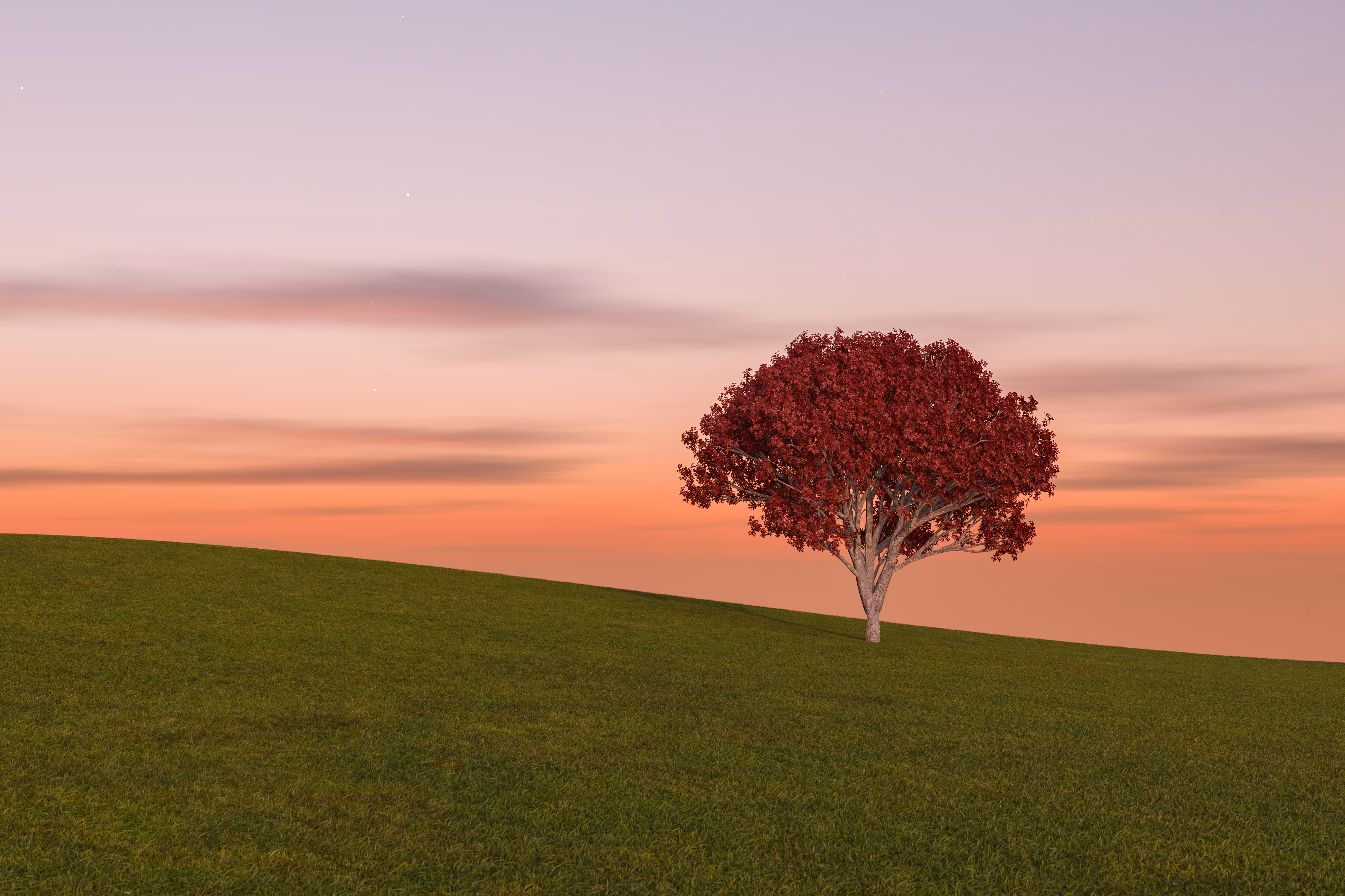 Evening