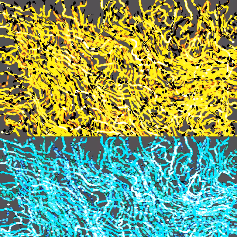 Nervography #1